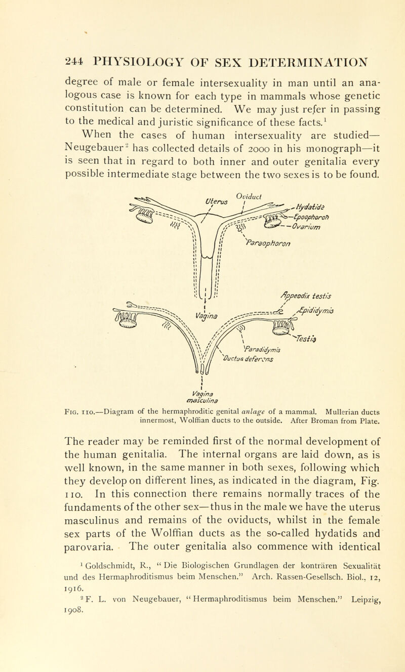244 PHYSIOLOGY OF SEX DETERMINATION degree of male or female intersexuality in man until an ana¬ logous case is known for each type in mammals whose genetic constitution can be determined. We may just refer in passing to the medical and juristic significance of these facts/ When the cases of human intersexuality are studied— Neugebauer has collected details of 2000 in his monograph—it is seen that in regard to both inner and outer genitalia every possible intermediate stage between the two sexes is to be found. Vagina lììascuUna Fig. iio.—Diagram of the hermaphroditic genital anlage of a mammal. Mullerian ducts innermost, Wolffian ducts to the outside. After Broman from Plate. The reader may be reminded first of the normal development of the human genitalia. The internal organs are laid down, as is well known, in the same manner in both sexes, following which they develop on different lines, as indicated in the diagram. Fig. 110. In this connection there remains normally traces of the fundaments of the other sex—thus in the male we have the uterus masculinus and remains of the oviducts, whilst in the female sex parts of the Wolffian ducts as the so-called hydatids and parovaria. The outer genitalia also commence with identical ^ Goldschmidt, R.,  Die Biologischen Grundlagen der konträren Sexualität und des Hermaphroditismus beim Menschen. Arch. Rassen-Gesellsch. Biol., 12, 1916. ^F. L. von Neugebauer, Hermaphroditismus beim Menschen. Leipzig, 1908. Oviduct