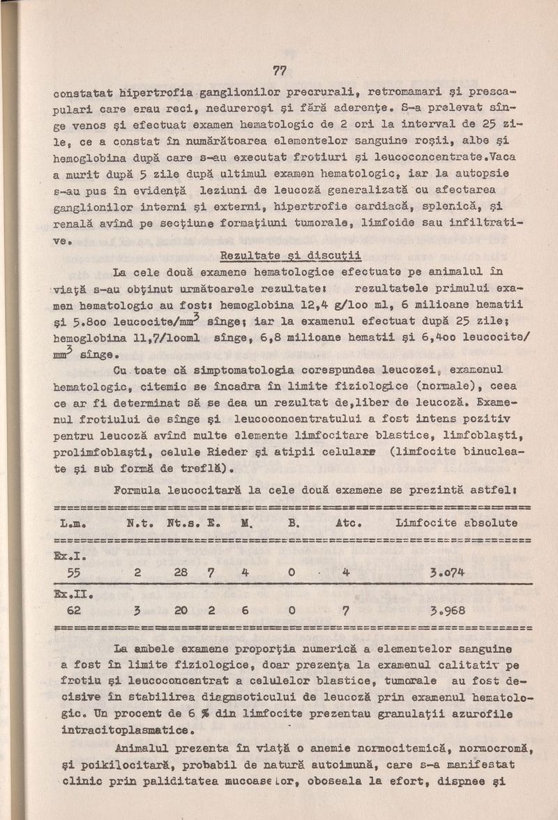 77 constatât hipertrofia ganglionilor precrurali, retromainari çi presca- pulari care erau reci, nedureroçi §i färä aderen^je, S-a prélevât sin¬ ge venos §i efeotuat examen hematologic de 2 ori la interval de 25 zi- le, ce a constat £n numaratoarea elemontelor sanguine roçii, albe §1 hemoglobina dupa care s-au executat frotiuri §i leucoconcentrate.Vaca a murit dupa 5 zile dupa ultimai examen hematologic, iar la autopsie s-au pus in evideni?a lezioni de leucoza generalizatä cu afectarea ganglionilor interni §i extemi, hipertrofie cardiaca, splenica, çi renalä avînd pe sec^iune formatfiuni tumorale, limfoide sau infiltrati¬ ve. Seguitate si discuti! La cele dona examene hematologice efectúate pe animalul in ■viaÇâ s-au ob^finut urmátoarela rezultate» rezultatele primului exa¬ men hematologic au fosti hemoglobina 12,A- g/loo mi, 6 milioane hematii §i 5.800 leucocite/mm^ sìnget iar la examenul efectuat dupä 25 zile; hemoglobina 11,7/looml sìnge, 6,8 milioane hematil çi 6,4oc leucocito/ vsaP singe • Gu tóate oá simptomatologia corespundea leucozeij examenul hematologic, citemic se incadra in limite fiziologice (normale), ceea ce ar fi déterminât sä se dea un rezultat de,liber de leucozä. Exame¬ nul frotiului de singe §i leucoconcentratului a fost intens pozitiv pentru leucoza avind multe elemente limfocitare blastice, limfoblaçti, prolimfoblaçti, celule Eieder çi atipii celulaiB (limfocite binuclea¬ te çi sub foriiiä de tref lä). Formula leucocitarä la cele douá examene se prezinta astfeli L.m« N.t. fit.s. S. И. B. Ate. Limfocite absolute &x*I. 55 2 28 7 4 0 4 5.o74 Ex.II. 62 3 20 2 6 0 7 3.968 La ambele examene proporrla numericá a elementelor sanguine a fost in limite fiziologice, doar prezen-^a la examanul calitativ pe frotiu çi leucoconcentrat a celulelor blastice, tumorale au fost de¬ cisive In stabilirea diagnsoticului de leucozä prin examenul hematolo¬ gic. Un procent de 6 % din limfocite prezentau granulagli azurofile intracitoplasmatice. Animalul prezenta in via^a о anemie normocitemicä, noraocromä, çi poikilocitarä, probabil de naturä autoimunä, care s-a manifestât clinic prin paliditatea mucoascLor, oboseala la efort, dispnee çi