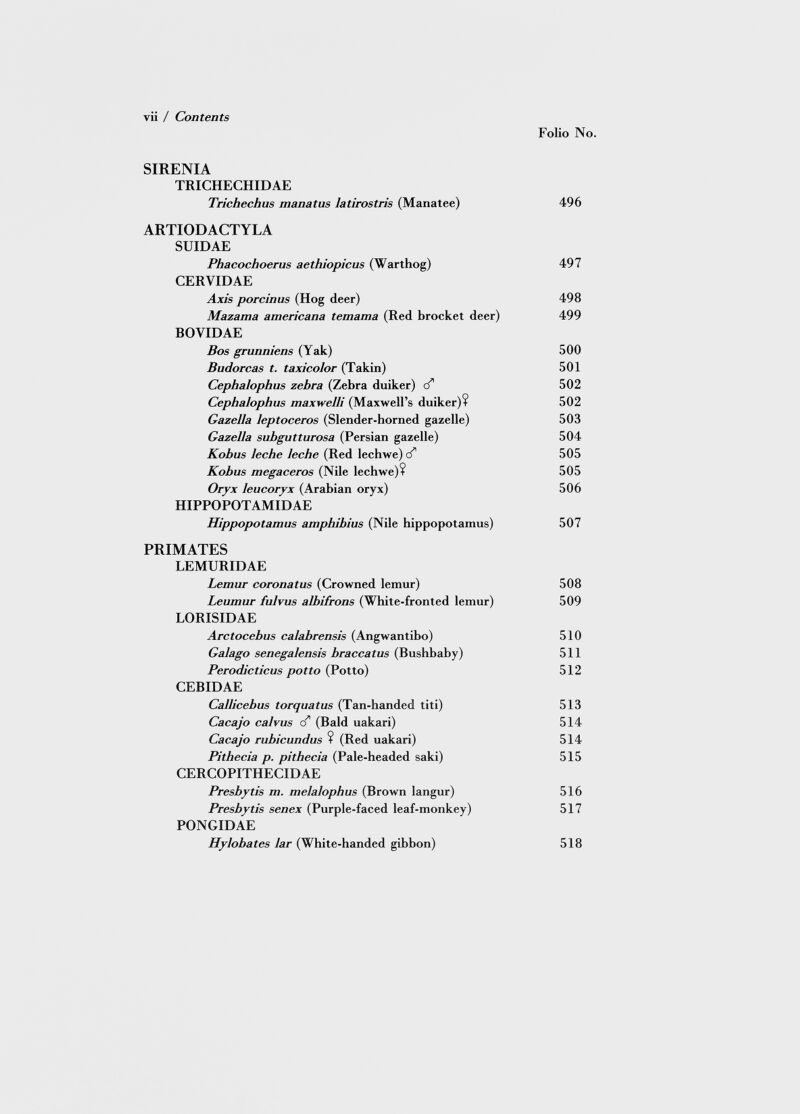 SIRENIA TRICHECHIDAE Trichechus manatus latirostris (Manatee) 496 ARTIODACTYLA SUIDAE Phacochoerus aethiopicus (Warthog) 497 CERVIDAE Axis porcinus (Hog deer) 498 Mazama americana temama (Red brocket deer) 499 BOYIDAE Bos grunniens (Yak) 500 Budorcas t. taxicolor (Takin) 501 CephaJophus zebra (Zebra duiker) c f' 502 CephaJophus maxwelli (Maxwell’s duiker)? 502 Gazella leptoceros (Slender-horned gazelle) 503 Gazella subgutturosa (Persian gazelle) 504 Kobus leche leche (Red lechwe) d* 505 Kobus megaceros (Nile lechwe)? 505 Oryx leucoryx (Arabian oryx) 506 HIPPOPOTAMIDAE Hippopotamus amphibius (Nile hippopotamus) 507 PRIMATES LEMURIDAE Lemur coronatus (Crowned lemur) 508 Leumur fulvus albifrons (White-fronted lemur) 509 LORISIDAE Arctocebus calabrensis (Angwantibo) 510 Galago senegalensis braccaius (Bushbaby) 511 Perodicticus potto (Potto) 512 CEBIDAE Callicebus torquatus (Tan-handed titi) 513 Cacajo calvus c/ 1 (Bald uakari) 514 Cacajo rubicundus ? (Red uakari) 514 Pithecia p. pithecia (Pale-headed saki) 515 CERCOPITHECIDAE Presbytis m. melalophus (Brown langur) 516 Presbytis senex (Purple-faced leaf-monkey) 517 PONGIDAE Hylobates lar (White-handed gibbon) 518