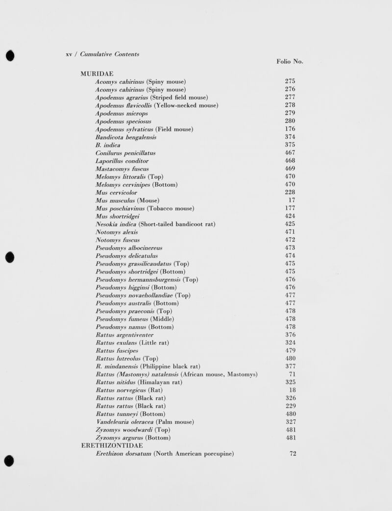 MURIDAE Acomys cahirinus (Spiny mouse) 275 Acomys cahirinus (Spiny mouse) 276 Apodemus agrarius (Striped field mouse) 277 Apodemus Havicollis (Yellow-necked mouse) 278 Apodemus microps 279 Apodemus speciosus 280 Apodemus sylvaticus (Field mouse) 176 Bandicota bengalensis 374 B. indica 375 Conilurus penicillatus 467 Laporillus conditor 468 Mastacomys fuscus 469 Melomys littoralis (Top) 470 Melomys cervinipes (Bottom) 470 Mus cervicolor 228 Mus musculus (Mouse) 17 Mus poschiavinus (Tobacco mouse) 177 Mus shortridgei 424 Nesokia indica (Short-tailed bandicoot rat) 425 Notomys alexis 471 Notomys fuscus 472 Pseudomys albocinereus 473 Pseudomys delicatulus 474 Pseudomys grassilicaudatus (Top) 475 Pseudomys shortridgei (Bottom) 475 Pseudomys hermannsburgensis (Top) 476 Pseudomys bigginsi (Bottom) 476 Pseudomys novaehollandiae (Top) 477 Pseudomys australis (Bottom) 477 Pseudomys praeconis (Top) 478 Pseudomys fumeus (Middle) 478 Pseudomys namus (Bottom) 478 Battus argentiventer 376 Battus exulans (Little rat) 324 Battus fuscipes 479 Battus lutreolus (Top) 480 B. mindanensis (Philippine black rat) 377 Battus (Mastomys) natalensis (African mouse, Mastomys) 71 Battus nitidus (Himalayan rat) 325 Battus norvegicus (Rat) 18 Battus rattus (Black rat) 326 Battus rattus (Black rat) 229 Battus tunneyi (Bottom) 480 Vandeleuria oleracea (Palm mouse) 327 Zyzomys woodwardi (Top) 481 Zyzomys argurus (Bottom) 481 ERETHIZONTIDAE Erethizon dorsatum (North American porcupine) 72