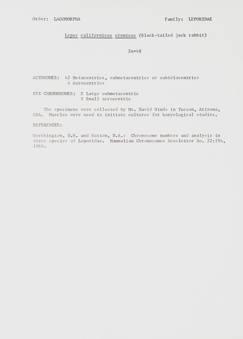2n=48 AUTOSOMES: 42 Metacentrics, submetacentrics or subtelocentrics 4 Acrocentrics SEX CHROMOSOMES: X Large submetacentric Y Small acrocentric The specimens were collected by Mr. David Hinds in Tucson, Arizona, USA. Muscles were used to initiate cultures for karyological studies. REFERENCES : Worthington, D.H. and Sutton, D.A.: Chromosome numbers and analysis in three species of Leporidae. Mammalian Chromosomes Newsletter No. 22:194, 1966.