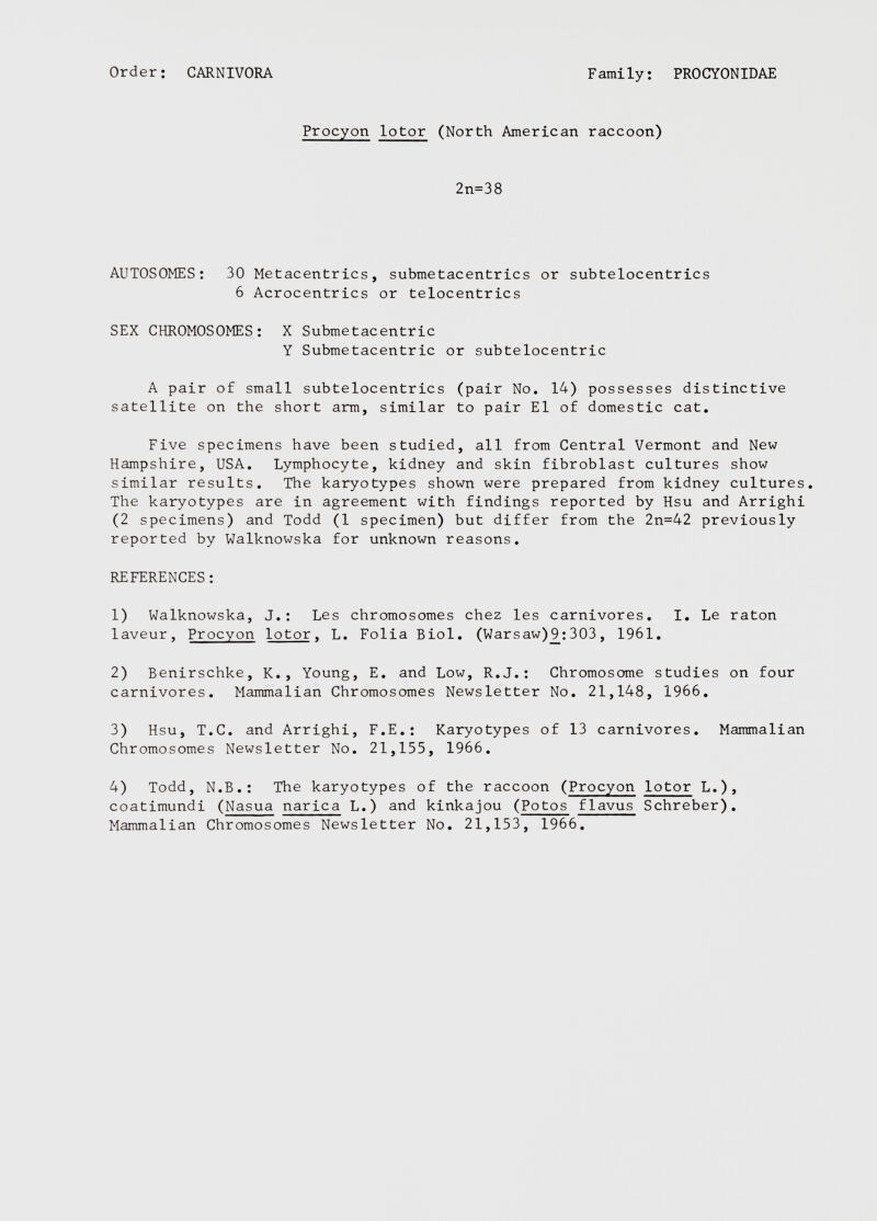 Procyon lotor (North American raccoon) 2n=38 AUTOSOMES: 30 Metacentrics, submetacentrics or subtelocentrics 6 Acrocentrics or telocentrics SEX CHROMOSOMES: X Submetacentric Y Submetacentric or subtelocentric A pair of small subtelocentrics (pair No. 14) possesses distinctive satellite on the short arm, similar to pair El of domestic cat. Five specimens have been studied, all from Central Vermont and New Hampshire, USA. Lymphocyte, kidney and skin fibroblast cultures show similar results. The karyotypes shown were prepared from kidney cultures. The karyotypes are in agreement with findings reported by Hsu and Arrighi (2 specimens) and Todd (1 specimen) but differ from the 2n=42 previously reported by Walknowska for unknown reasons. REFERENCES: 1) Walknowska, J.: Les chromosomes chez les carnivores. I. Le raton laveur, Procyon lotor, L. Folia Biol. (Warsaw) 9_: 303 , 1961. 2) Benirschke, K. , Young, E. and Low, R.J.: Chromosome studies on four carnivores. Mammalian Chromosomes Newsletter No. 21,148, 1966. 3) Hsu, T.C. and Arrighi, F.E.: Karyotypes of 13 carnivores. Mammalian Chromosomes Newsletter No. 21,155, 1966. 4) Todd, N.B.: The karyotypes of the raccoon ( Procyon lotor L.), coatimundi ( Nasua narica L.) and kinkajou ( Potos flavus Schreber). Mammalian Chromosomes Newsletter No. 21,153, 1966.