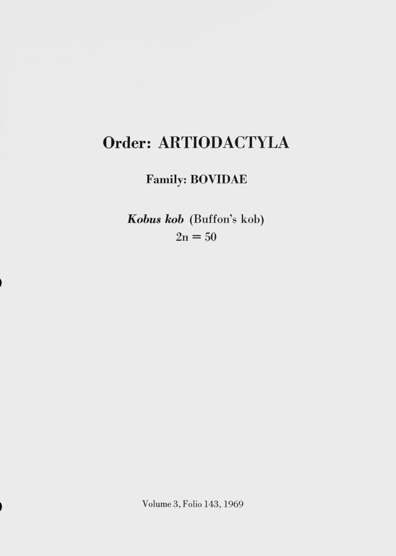 Order: ARTIODACTYLA Family: BOVIDAE Kobus hob (Buffon’s kob) 2n = 50