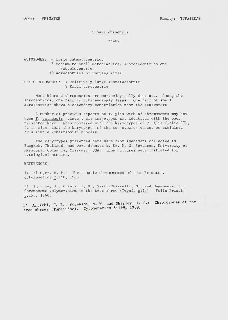 Tupaia chinensis 2n=62 AUTOSOMES: 4 Large submetacentrics 8 Medium to small metacentrics, submetacentrics and subtelocentrics 50 Acrocentrics of varying sizes SEX CHROMOSOMES: X Relatively large submetacentric Y Small acrocentric Most biarmed chromosomes are morphologically distinct. Among the acrocentrics, one pair is outstandingly large. One pair of small acrocentrics shows a secondary constriction near the centromere. A number of previous reports on T. glis with 62 chromosomes may have been T. chinensis , since their karyotypes are identical with the ones presented here. When compared with the karyotypes of T. glis (Folio 97), it is clear that the karyotypes of the two species cannot be explained by a simple Robertsonian process. The karyotypes presented here were from specimens collected in Bangkok, Thailand, and were donated by Dr. M. W. Sorenson, University of Missouri, Columbia, Missouri, USA. Lung cultures were initiated for cytological studies. REFERENCES: 1) Klinger, H. P.: The somatic chromosomes of some Primates. Cytogenetics _2:140, 1963. 2) Egozcue, J., Chiarelli, B., Sarti-Chiarelli, M., and Hagemenas, F.: Chromosome polymorphism in the tree shrew ( Tupaia glis ). Folia Primat. 8:150, 1968. 3) Arrighi, F. E., Sorenson, M. w ^ and ^rley, L. S.: tree shrews (Tupaiidae). Cytogenetics 8:199, 1969. Chromosomes of the