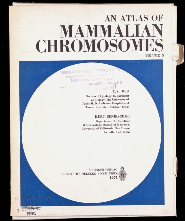 digitised image 1