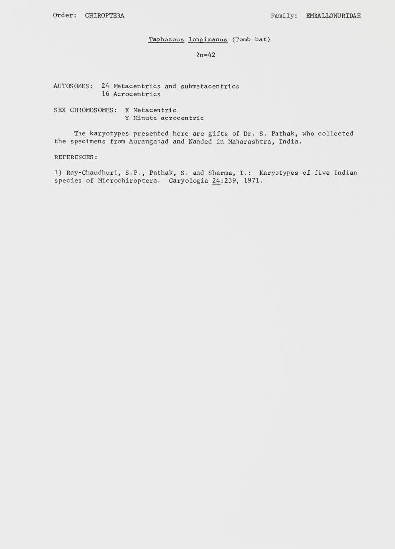 Taphozous longimanus (Tomb bat) 2n=42 AUTOSOMES: 24 Metacentrics and submetacentrics 16 Acrocentrics SEX CHROMOSOMES: X Metacentric Y Minute acrocentric The karyotypes presented here are gifts of Dr. S. Pathak, who collected the specimens from Aurangabad and Nanded in Maharashtra, India. REFERENCES : 1) Ray-Chaudhuri, S.P., Pathak, S. and Sharma, T.: Karyotypes of five Indian species of Microchiroptera. Caryologia 24-:239, 1971.