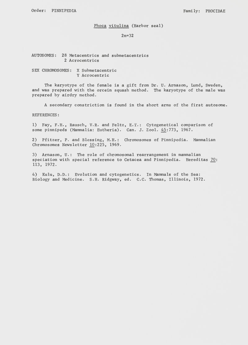 Phoca vitulina (Harbor seal) 2n=32 AUTOSOMES: 28 Metacentrics and submetacentries 2 Acrocentrics SEX CHROMOSOMES: X Submetacentric Y Acrocentric The karyotype of the female is a gift from Dr. U. Arnason, Lund, Sweden, and was prepared with the orcein squash method. The karyotype of the male was prepared by airdry method. A secondary constriction is found in the short arms of the first autosome. REFERENCES : 1) Fay, F.H., Rausch, V.R. and Feltz, E.T.: Cytogenetical comparison of some pinnipeds (Mammalia: Eutheria). Can. J. Zool. 45:773, 1967. 2) Pfitzer, P. and Blessing, M.H.: Chromosomes of Pinnipedia. Mammalian Chromosomes Newsletter _10:225, 1969. 3) Arnason, U.: The role of chromosomal rearrangement in mammalian spéciation with special reference to Cetacea and Pinnipedia. Hereditas 70 : 113, 1972. 4) Kulu, D.D.: Evolution and cytogenetics. In Mammals of the Sea: Biology and Medicine. S.H. Ridgway, ed. C.C. Thomas, Illinois, 1972.