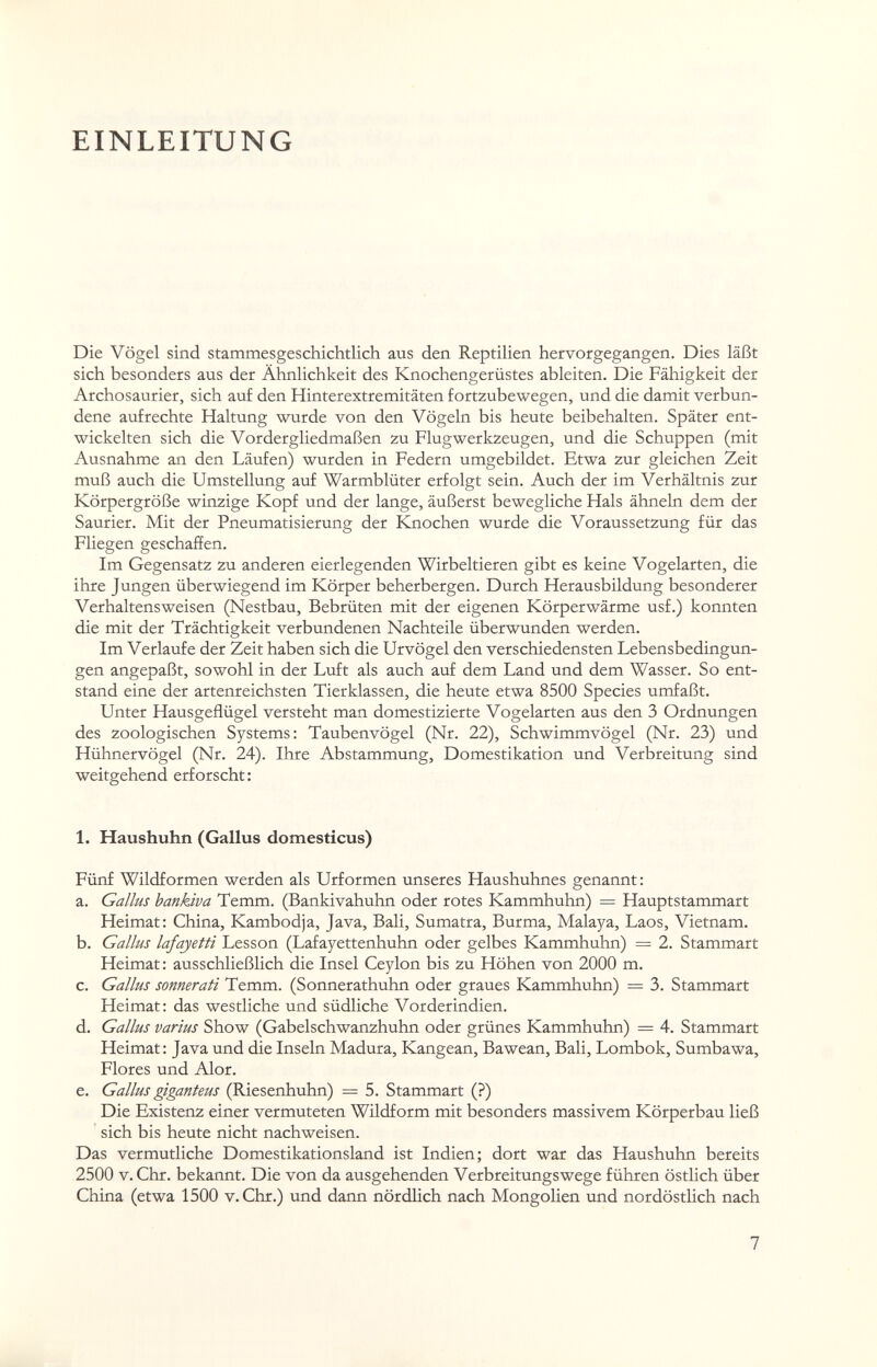 EINLEITUNG Die Vögel sind stammesgeschichtlich aus den Reptilien hervorgegangen. Dies läßt sich besonders aus der Ähnlichkeit des Knochengerüstes ableiten. Die Fähigkeit der Archosaurier, sich auf den Hinterextremitäten fortzubewegen, und die damit verbun¬ dene aufrechte Haltung wurde von den Vögeln bis heute beibehalten. Später ent¬ wickelten sich die Vordergliedmaßen zu Flugwerkzeugen, und die Schuppen (mit Ausnahme an den Läufen) wurden in Federn umgebildet. Etwa zur gleichen Zeit muß auch die Umstellung auf Warmblüter erfolgt sein. Auch der im Verhältnis zur Körpergröße winzige Kopf und der lange, äußerst bewegliche Hals ähneln dem der Saurier. Mit der Pneumatisierung der Knochen wurde die Voraussetzung für das Fliegen geschaffen. Im Gegensatz zu anderen eierlegenden Wirbeltieren gibt es keine Vogelarten, die ihre Jungen überwiegend im Körper beherbergen. Durch Herausbildung besonderer Verhaltensweisen (Nestbau, Bebrüten mit der eigenen Körperwärme usf.) konnten die mit der Trächtigkeit verbundenen Nachteile überwunden werden. Im Verlaufe der Zeit haben sich die Urvögel den verschiedensten Lebensbedingun¬ gen angepaßt, sowohl in der Luft als auch auf dem Land und dem Wasser. So ent¬ stand eine der artenreichsten Tierklassen, die heute etwa 8500 Species umfaßt. Unter Hausgeflügel versteht man domestizierte Vogelarten aus den 3 Ordnungen des zoologischen Systems: Taubenvögel (Nr. 22), Schwimmvögel (Nr. 23) und Hühnervögel (Nr. 24). Ihre Abstammung, Domestikation und Verbreitung sind weitgehend erforscht: 1. Haushuhn (Gallus domesticus) Fünf Wildformen werden als Urformen unseres Haushuhnes genannt : a. Gallus bankiva Temm. (Bankivahuhn oder rotes Kammhuhn) = Hauptstammart Heimat: China, Kambodja, Java, Bali, Sumatra, Burma, Malaya, Laos, Vietnam. b. Gallus lafajetti Lesson (Lafayettenhuhn oder gelbes Kammhuhn) = 2. Stammart Heimat: ausschließlich die Insel Ceylon bis zu Höhen von 2000 m. c. Gallus sonnerati Temm. (Sonnerathuhn oder graues Kammhuhn) = 3. Stammart Heimat: das westliche und südliche Vorderindien. d. Gallus varius Show (Gabelschwanzhuhn oder grünes Kammhuhn) = 4. Stammart Heimat: Java und die Inseln Madura, Kangean, Bawean, Bali, Lombok, Sumbawa, Flores und Alor. e. Gallus giganteus (Riesenhuhn) = 5. Stammart (?) Die Existenz einer vermuteten Wildform mit besonders massivem Körperbau ließ sich bis heute nicht nachweisen. Das vermutliche Domestikationsland ist Indien; dort war das Haushuhn bereits 2500 V. Chr. bekannt. Die von da ausgehenden Verbreitungswege führen östlich über China (etwa 1500 v.Chr.) und dann nördlich nach Mongolien und nordöstlich nach 7