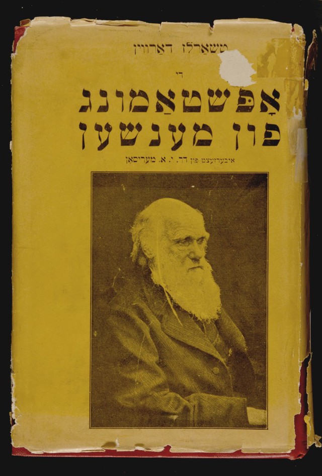 No text description is available for this image