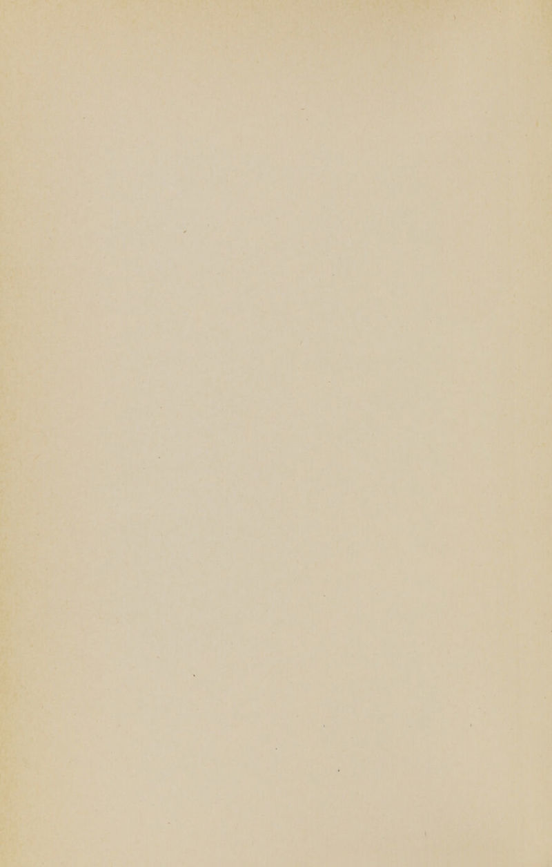 ■ ■ ■ ■;*( > vii \