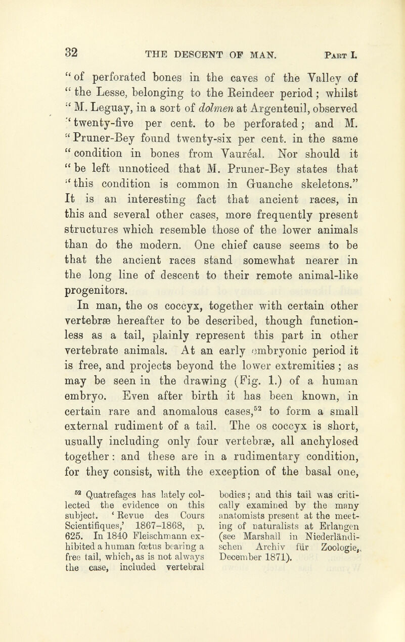 32 THE DESCENT OF MAN. Pakt I.  of perforated bones in the caves of the Valley of  the Lesse, belonging to the Eeindeer period ; whilst •' M, Leguay, in a sort of dolmen at Argenteuil, observed ' twenty-five per cent, to be perforated ; and M. Pruner-Bey found twenty-six per cent, in the same  condition in bones from Vaureal. Nor should it  be left unnoticed that M. Pruner-Bey states that  this condition is common in Guanche skeletons. It is an interesting fact that ancient races, in this and several other cases, more frequently present structures which resemble those of the lower animals than do the modern. One chief cause seems to be that the ancient races stand somewhat nearer in the long line of descent to their remote animal-like progenitors. In man, the os coccyx, together with certain other vertebrae hereafter to be described, though function- less as a tail, plainly represent this part in other vertebrate animals. At an early embryonic period it is free, and projects beyond the lower extremities ; as may be seen in the drawing (Fig. 1.) of a human embryo. Even after birth it has been known, in certain rare and anomalous cases,to form a small external rudiment of a tail. The os coccyx is short, usually including only four vertebrae, all anchylosed together : and these are in a rudimentary condition, for they consist, with the exception of the basal one. Quatrefages has lately col¬ lected the evidence on this subject. ' Revue des Cours Scientifiques,' 1867-1868, p. 625. In 1840 Fleischmann ex¬ hibited a human fœtus bearing a free tail, which, as is not always the case, included vertebral bodies ; aud this tail was criti¬ cally examined by the many anatomists present at the meet¬ ing of naturalists at Erlangen (see Marshall in Niederländi¬ schen Archiv für Zoologie,, December 1871).