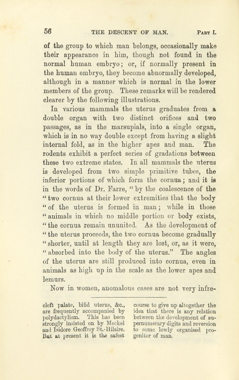 56 THE DESCENT OP MAN. Pabt I. of the group to wbich man belongs, occasionally make their appearance in him, though not found in the normal human embryo; or, if normally present in the human embryo, they become abnormally developed, although in a manner which is normal in the lower members of the group. These remarks will be rendered clearer by the following illustrations. In various mammals the uterus graduates from a double organ with two distinct orifices and two passages, as in the marsupials, into a single organ, which is in no way double except from having a slight internal fold, as in the higher apes and man. The rodents exhibit a perfect series of gradations between these two extreme states. In all mammals the uterus is developed from two simple primitive tubes, the inferior portions of which form the cornua ; and it is in the words of Dr. Farre,  by the coalescence of the  two cornua at their lower extremities that the body  of the uterus is formed in man ; while in those  animals in which no middle portion or body exists,  the cornua remain ununited. As the development of  the uterus proceeds, the two cornua become gradually  shorter, until at length they are lost, or, as it were,  absorbed into the body of the uterus. The angles of the uterus are still produced into cornua, even in animals as high up in the scale as the lower apes and lemurs. Now in women, anomalous cases are not very infre- cleft palate, bifid uterus, &c., course to give up altogether tbe are frequently accompanied by idea that there is any relation polydactylism. This has been between the development of su- strongly insisted on by Meckel pernumerary digits and reversion and Isidore Geoffroy St.-Hilaire. to some lowly organised pro- But at present it is the safest genitor of man.