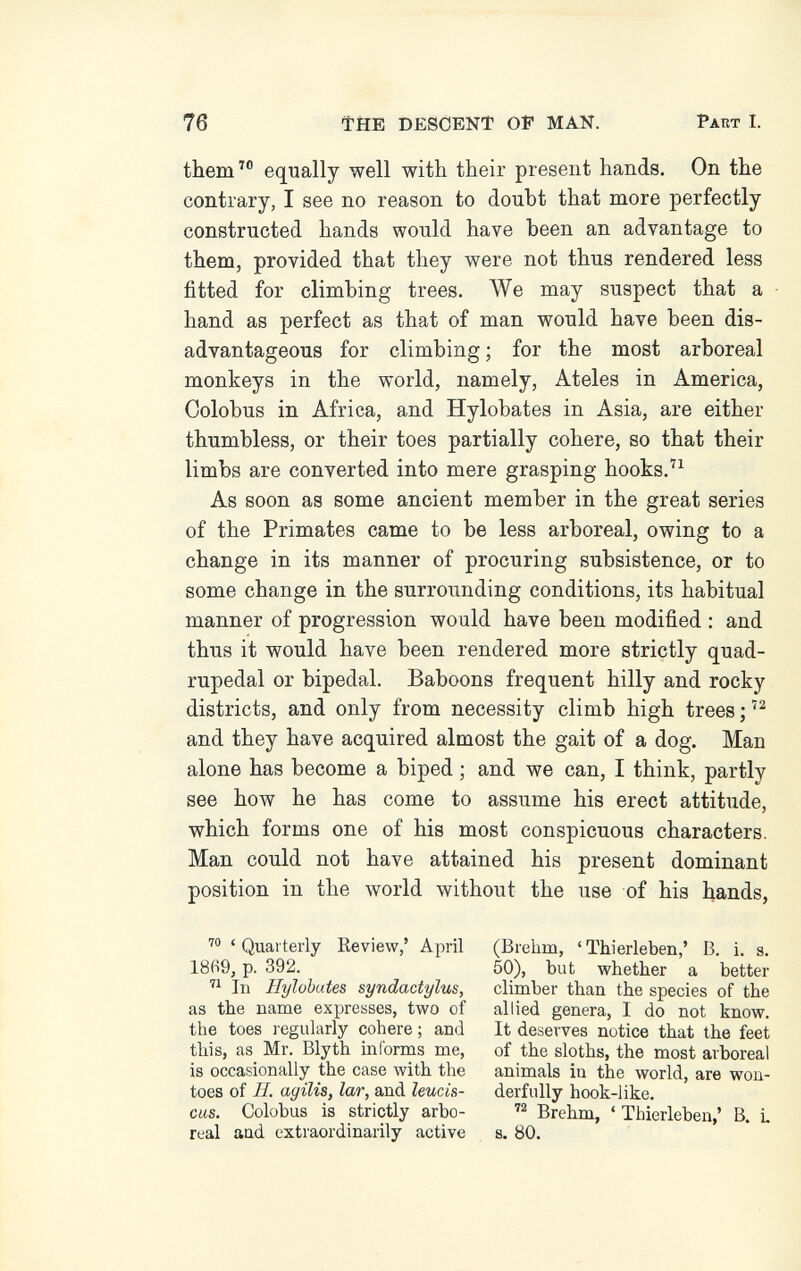 76 The descent of man. Part I. them^ equally well with their present hands. On the contrary, I see no reason to doubt that more perfectly constructed hands would have been an advantage to them, provided that they were not thus rendered less fitted for climbing trees. We may suspect that a hand as perfect as that of man would have been dis¬ advantageous for climbing ; for the most arboreal monkeys in the world, namely. Ateles in America, Colobus in Africa, and Hylobates in Asia, are either thumbless, or their toes partially cohere, so that their limbs are converted into mere grasping hooks.''^ As soon as some ancient member in the great series of the Primates came to be less arboreal, owing to a change in its manner of procuring subsistence, or to some change in the surrounding conditions, its habitual manner of progression would have been modified ; and thus it would have been rendered more strictly quad¬ rupedal or bipedal. Baboons frequent hilly and rocky districts, and only from necessity climb high trees ;  and they have acquired almost the gait of a dog. Man alone has become a biped ; and we can, I think, partly see how he has come to assume his erect attitude, which forms one of his most conspicuous characters. Man could not have attained his present dominant position in the world without the use of his hands, ' Quarterly Review,' April 18fi9, p. 392.  In Hylobates syndactylus, as the name expresses, two of the toes regularly cohere ; and this, as Mr. Blyth informs me, is occasionally the case with the toes of H. agilis, lar, and leucis- cus. Colobus is strictly arbo¬ real aud extraordinarily active (Brehm, 'Thierleben,' В. i. s. 50), but whether a better climber than the species of the allied genera, I do not know. It deserves notice that the feet of the sloths, the most arboreal animals in the world, are won¬ derfully hook-like. Brehm, ' Thierleben,' В. I s. 80.