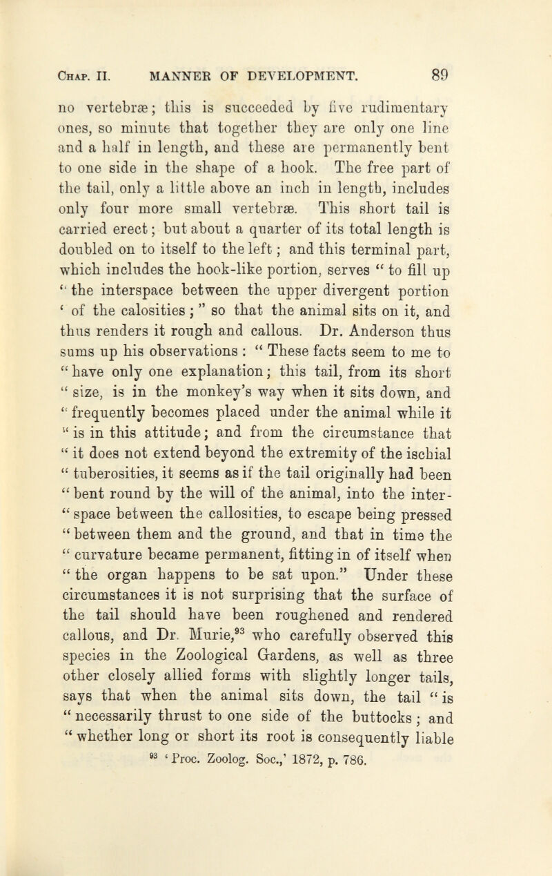 Chap. II. MANNER OF DEVELOPMENT. 89 no vertebrae ; tliis is succeeded by live rudimentary ones, so minute that together they are only one line and a half in length, and these are permanently bent to one side in the shape of a hook. The free part of the tail, only a little above an inch in length, includes only four more small vertebrae. This short tail is carried erect ; but about a quarter of its total length is doubled on to itself to the left ; and this terminal part, which includes the hook-like portion, serves  to fill up the interspace between the upper divergent portion ' of the calosities ;  so that the animal sits on it, and thus renders it rough and callous. Dr. Anderson thus sums up his observations ;  These facts seem to me to  have only one explanation ; this tail, from its short  size, is in the monkey's way when it sits down, and  frequently becomes placed under the animal while it  is in this attitude ; and from the circumstance that  it does not extend beyond the extremity of the ischial  tuberosities, it seems as if the tail originally had been bent round by the will of the animal, into the inter-  space between the callosities, to escape being pressed  between them and the ground, and that in time the  curvature became permanent, fitting in of itself when  the organ happens to be sat upon. Under these circumstances it is not surprising that the surface of the tail should have been roughened and rendered callous, and Dr. Murie,®^ who carefully observed this species in the Zoological Gardens, as well as three other closely allied forms with slightly longer tails, says that when the animal sits down, the tail  is  necessarily thrust to one side of the buttocks ; and  whether long or short its root is consequently liable ' Froc. Zoolog. Soc.,' 1872, p. 786.