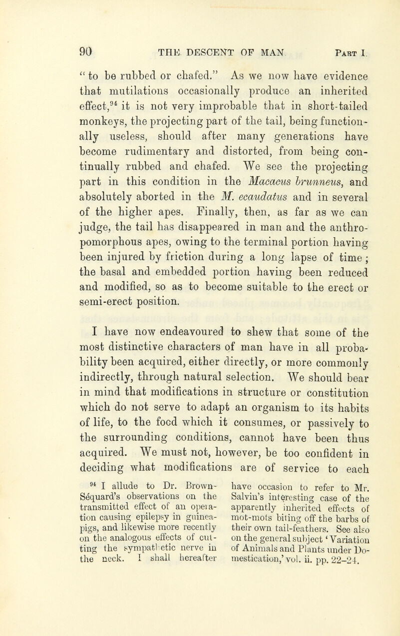 90 THE. DESCENT OF MAN Part I,  to be rubbed or chafed. As we now have evidence that mutilations occasionally produce an inherited effect,®^ it is not very improbable that in short-tailed monkeys, the projecting part of the tail, being function¬ ally useless, should after many generations have become rudimentary and distorted, from being con¬ tinually rubbed and chafed. We see the projecting part in this condition in the Maeacus brunneus, and absolutely aborted in the M. ecaudatus and in several of the higher apes. Finally, then, as far as we can judge, the tail has disappeared in man and the anthro¬ pomorphous apes, owing to the terminal portion having been injured by friction during a long lapse of time ; the basal and embedded portion having been reduced and modified, so as to become suitable to the erect or semi-erect position. I have now endeavoured to shew that some of the most distinctive characters of man have in all proba¬ bility been acquired, either directly, or more commonly indirectly, through natural selection. We should bear in mind that modifications in structure or constitution which do not serve to adapt an organism to its habits of life, to the food which it consumes, or passively to the surrounding conditions, cannot have been thus acquired. We must not, however, be too confident in deciding what modifications are of service to each I allude to Dr. Brown- Séquarà's observations on the transmitted effect of an opeia- tion causing epilepsy in gninea- pigs, and likewise more recently on the analogous effects of cut¬ ting the sympati etic nerve in the neck. 1 shall hereafter have occasion to refer to Mr. Salvin's interesting case of the apparently inherited effects of mot-mots biting off the barbs of their own tail-feathers. See also on the general su})ject 'Variation of Animals and Plants under Do¬ mestication,' vol. ii. pp. 22-24.