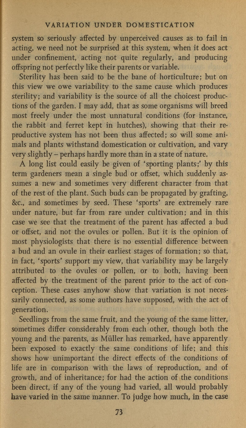 VARIATION UNDER DOMESTICATION system so seriously affected by unperceived causes as to fail in acting, we need not be surprised at this system, when it does act under confinement, acting not quite regularly, and producing offspring not perfectly like their parents or variable. Sterility has been said to be the bane of horticulture; but on this view we owe variability to the same cause which produces sterility; and variability is the source of all the choicest produc¬ tions of the garden. I may add, that as some organisms will breed most freely under the most unnatural conditions (for instance, the rabbit and ferret kept in hutches), showing that their re¬ productive system has not been thus affected; so will some ani¬ mals and plants withstand domestication or cultivation, and vary very slightly - perhaps hardly more than in a state of nature. A long list could easily be given of 'sporting plants;' by this term gardeners mean a single bud or offset, which suddenly as¬ sumes a new and sometimes very different character from that of the rest of the plant. Such buds can be propagated by grafting, &Ç., and sometimes by seed. These 'sports' are extremely rare under nature, but far from rare under cultivation; and in this case we see that the treatment of the parent has affected a bud or offset, and not the ovules or pollen. But it is the opinion of most physiologists that there is no essential difference between a bud and an ovule in their earliest stages of formation; so that, in fact, 'sports' support my view, that variability may be largely attributed to the ovules or pollen, or to both, having been affected by the treatment of the parent prior to the act of con¬ ception. These cases anyhow show that variation is not neces¬ sarily connected, as some authors have supposed, with the act of generation. Seedlings from the same fruit, and the young of the same litter, sometimes differ considerably from each other, though both the young and the parents, as Müller has remarked, have apparently been exposed to exactly the same conditions of life; and this shows how unimportant the direct effects of the conditions of life are in comparison with the laws of reproduction, and of growth, and of inheritance; for had the action of the conditions been direct, if any of the young had varied, all would probably have varied in the same manner. To judge how much, in the case 73