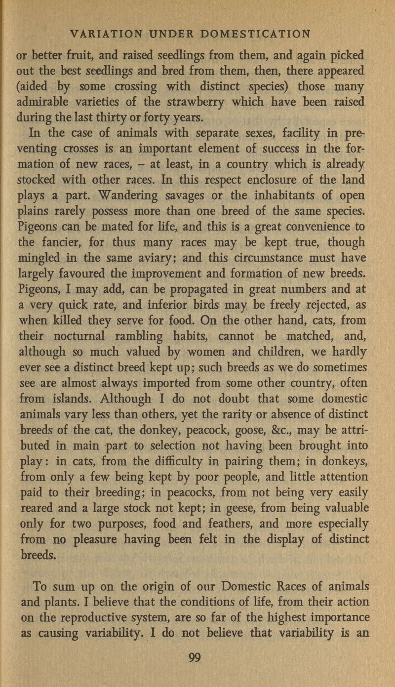 VARIATION UNDER DOMESTICATION or better fruit, and raised seedlings from them, and again picked out the best seedlings and bred from them, then, there appeared (aided by some crossing with distinct species) those many admirable varieties of the strawberry which have been raised during the last thirty or forty years. In the case of animals with separate sexes, facility in pre¬ venting crosses is an important element of success in the for¬ mation of new races, - at least, in a country which is already stocked with other races. In this respect enclosure of the land plays a part. Wandering savages or the inhabitants of open plains rarely possess more than one breed of the same species. Pigeons can be mated for life, and this is a great convenience to the fancier, for thus many races may be kept true, though mingled in the same aviary; and this circumstance must have largely favoured the improvement and formation of new breeds. Pigeons, I may add, can be propagated in great numbers and at a very quick rate, and inferior birds may be freely rejected, as when killed they serve for food. On the other hand, cats, from their nocturnal rambling habits, cannot be matched, and, although so much valued by women and children, we hardly ever see a distinct breed kept up; such breeds as we do sometimes see are almost always imported from some other country, often from islands. Although I do not doubt that some domestic animals vary less than others, yet the rarity or absence of distinct breeds of the cat, the donkey, peacock, goose, &c., may be attri¬ buted in main part to selection not having been brought into play: in cats, from the difficulty in pairing them; in donkeys, from only a few being kept by poor people, and little attention paid to their breeding; in peacocks, from not being very easily reared and a large stock not kept; in geese, from being valuable only for two purposes, food and feathers, and more especially from no pleasure having been felt in the display of distinct breeds. To sum up on the origin of our Domestic Races of animals and plants. I believe that the conditions of life, from their action on the reproductive system, are so far of the highest importance as causing variabiHty. I do not believe that variability is an 99