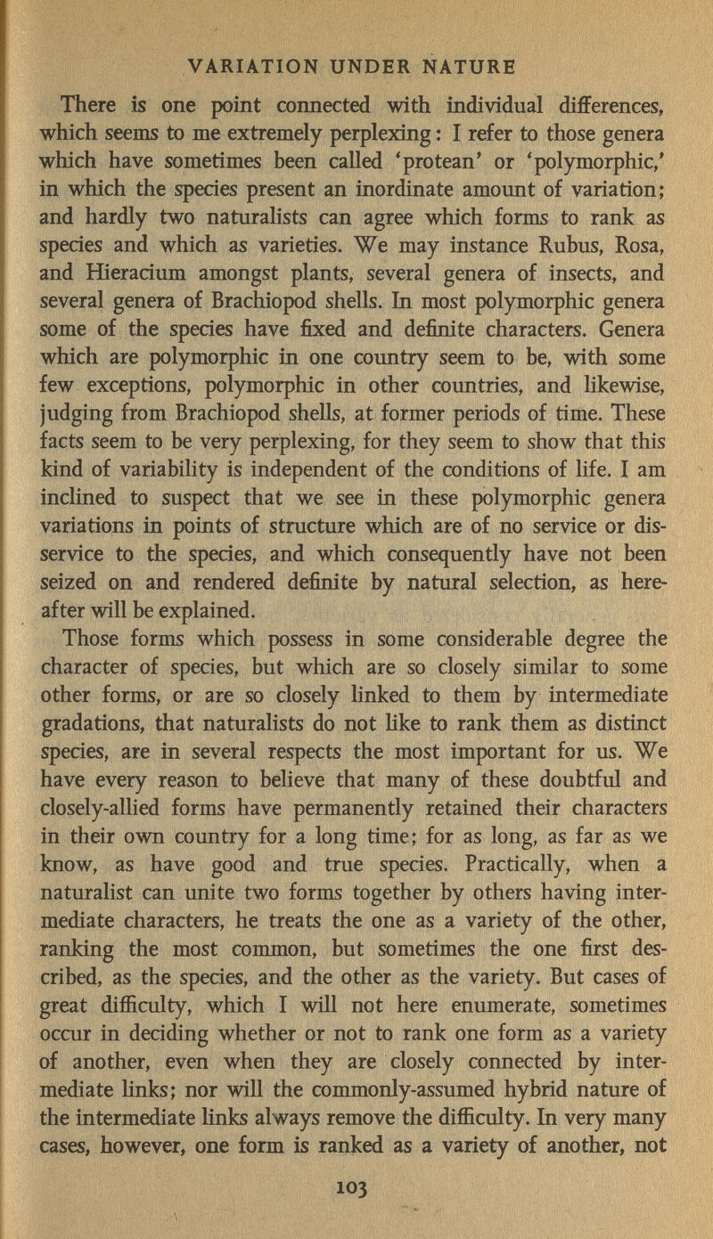 VARIATION UNDER NATURE There is one point connected with individual differences, which seems to me extremely perplexing : I refer to those genera which have sometimes been called 'protean* or 'polymorphic/ in which the species present an inordinate amount of variation; and hardly two naturalists can agree which forms to rank as species and which as varieties. We may instance Rubus, Rosa, and Hieracium amongst plants, several genera of insects, and several genera of Brachiopod shells. In most polymorphic genera some of the species have fixed and definite characters. Genera which are polymorphic in one country seem to be, with some few exceptions, polymorphic in other coimtries, and likewise, judging from Brachiopod shells, at former periods of time. These facts seem to be very perplexing, for they seem to show that this kind of variability is independent of the conditions of life. I am inclined to suspect that we see in these polymorphic genera variations in points of structure which are of no service or dis¬ service to the species, and which consequently have not been seized on and rendered definite by natural selection, as here¬ after will be explained. Those forms which possess in some considerable degree the character of species, but which are so closely similar to some other forms, or are so closely linked to them by intermediate gradations, that naturalists do not Uke to rank them as distinct species, are in several respects the most important for us. We have every reason to believe that many of these doubtful and closely-allied forms have permanently retained their characters in their own country for a long time; for as long, as far as we know, as have good and true species. Practically, when a naturalist can unite two forms together by others having inter¬ mediate characters, he treats the one as a variety of the other, ranking the most common, but sometimes the one first des¬ cribed, as the species, and the other as the variety. But cases of great difficulty, which I will not here enumerate, sometimes occur in deciding whether or not to rank one form as a variety of another, even when they are closely connected by inter¬ mediate hnks; nor will the commonly-assumed hybrid nature of the intermediate links always remove the difficulty. In very many cases, however, one form is ranked as a variety of another, not 103