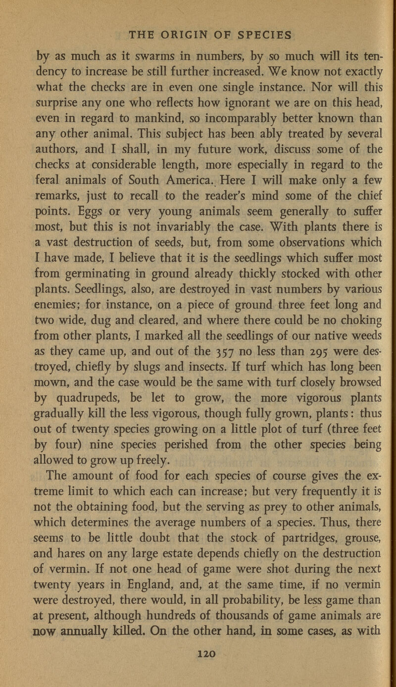 THE ORIGIN OF SPECIES by as much as it swarms in numbers, by so much will its ten¬ dency to increase be still further increased. We know not exactly what the checks are in even one single instance. Nor will this surprise any one who reflects how ignorant we are on this head, even in regard to mankind, so incomparably better known than any other animal. This subject has been ably treated by several authors, and I shall, in my future work, discuss some of the checks at considerable length, more especially in regard to the feral animals of South America. Here I will make only a few remarks, just to recall to the reader's mind some of the chief points. Eggs or very young animals seem generally to suffer most, but this is not invariably the case. With plants there is a vast destruction of seeds, but, from some observations which I have made, I believe that it is the seedlings which suffer most from germinating in ground already thickly stocked with other plants. Seedlings, also, are destroyed in vast numbers by various enemies; for instance, on a piece of ground three feet long and two wide, dug and cleared, and where there could be no choking from other plants, I marked all the seedlings of our native weeds as they came up, and out of the 357 no less than 295 were des¬ troyed, chiefly by slugs and insects. If turf which has long been mown, and the case would be the same with turf closely browsed by quadrupeds, be let to grow, the more vigorous plants gradually kill the less vigorous, though fully grown, plants : thus out of twenty species growing on a little plot of turf (three feet by four) nine species perished from the other species being allowed to grow up freely. The amount of food for each species of course gives the ex¬ treme limit to which each can increase; but very frequently it is not the obtaining food, but the serving as prey to other animals, which determines the average numbers of a species. Thus, there seems to be little doubt that the stock of partridges, grouse, and hares on any large estate depends chiefly on the destruction of vermin. If not one head of game were shot during the next twenty years in England, and, at the same time, if no vermin were destroyed, there would, in all probabihty, be less game than at present, although himdreds of thousands of game animals are now annually killed. On the other hand, in some cases, as with 120