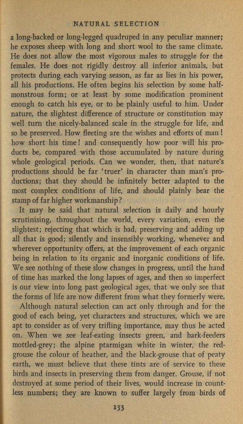 NATURAL SELECTION a long-backed or long-legged quadruped in any peculiar manner j he exposes sheep with long and short wool to the same climate. He does not allow the most vigorous males to struggle for the females. He does not rigidly destroy all inferior animals, but protects during each varying season, as far as lies in his power, all his productions. He often begins his selection by some half- monstrous form; or at least by some modification prominent enough to catch his eye, or to be plainly usefid to him. Under nature, the slightest difference of structure or constitution may well tum the nicely-balanced scale in the struggle for life, and so be preserved. How fleeting are the wishes and efforts of man ! how short his time ! and consequently how poor will his pro¬ ducts be, compared with those accumulated by nature during whole geological periods. Can we wonder, then, that nature's productions should be far Чшег' in character than man's pro¬ ductions; that they should be infinitely better adapted to the most complex conditions of life, and should plainly bear the stamp of far higher workmanship ? It may be said that natural selection is daily and hourly scrutinising, throughout the world, every variation, even the slightest; rejecting that which is bad, preserving and adding up all that is good; silently and insensibly working, whenever and wherever opportunity offers, at the improvement of each organic being in relation to its organic and inorganic conditions of life. We see nothing of these slow changes in progress, until the hand of time has marked the long lapses of ages, and then so imperfect is our view into long past geological ages, that we only see that the forms of life are now different from what they formerly were. Although natural selection can act only through and for the good of each being, yet characters and structures, which we are apt to consider as of very trifling importance, may thus be acted on. When we see leaf-eating insects green, and bark-feeders mottled-grey; the alpine ptarmigan white in winter, the red- grouse the colour of heather, and the black-grouse that of peaty earth, we must believe that these tints are of service to these birds and insects in preserving them from danger. Grouse, if not destroyed at some period of their lives, would increase in count¬ less numbers; they are known to suffer largely from birds of 133