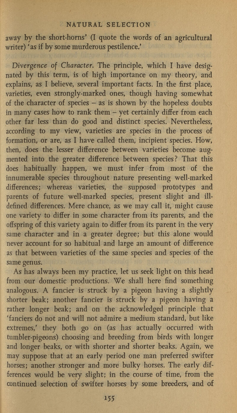 NATURAL SELECTION away by the short-homs' (I quote the words of an agricultural writer) *as if by some murderous pestilence/ Divergence of Character, The principle, which I have desig¬ nated by this term, is of high importance on my theory, and explains, as I believe, several important facts. In the first place, varieties, even strongly-marked ones, though having somewhat of the character of species - as is shown by the hopeless doubts in many cases how to rank them - yet certainly differ from each other far less than do good and distinct species. Nevertheless, according to my view, varieties are species in the process of formation, or are, as I have called them, incipient species. How, then, does the lesser difference between varieties become aug¬ mented into the greater difference between species? That this does habitually happen, we must infer from most of the innumerable species throughout nature presenting well-marked differences; whereas varieties, the supposed prototypes and parents of future well-marked species, present slight and ill- defined differences. Mere chance, as we may call it, might cause one variety to differ in some character from its parents, and the offspring of this variety again to differ from its parent in the very same character and in a greater degree; but this alone would never account for so habitual and large an amount of difference as that between varieties of the same species and species of the same genus. As has always been my practice, let us seek light on this head from our domestic productions. We shall here find something analogous. A fancier is struck by a pigeon having a slightly shorter beak; another fancier is struck by a pigeon having a rather longer beak; and on the acknowledged principle that 'fanciers do not and will not admire a medium standard, but like extremes,' they both go on (as has actually occurred with tumbler-pigeons) choosing and breeding from birds with longer and longer beaks, or with shorter and shorter beaks. Again, we may suppose that at an early period one man preferred swifter horses; another stronger and more bulky horses. The early dif¬ ferences would be very slight; in the course of time, from the continued selection of swifter horses by some breeders, and of 155