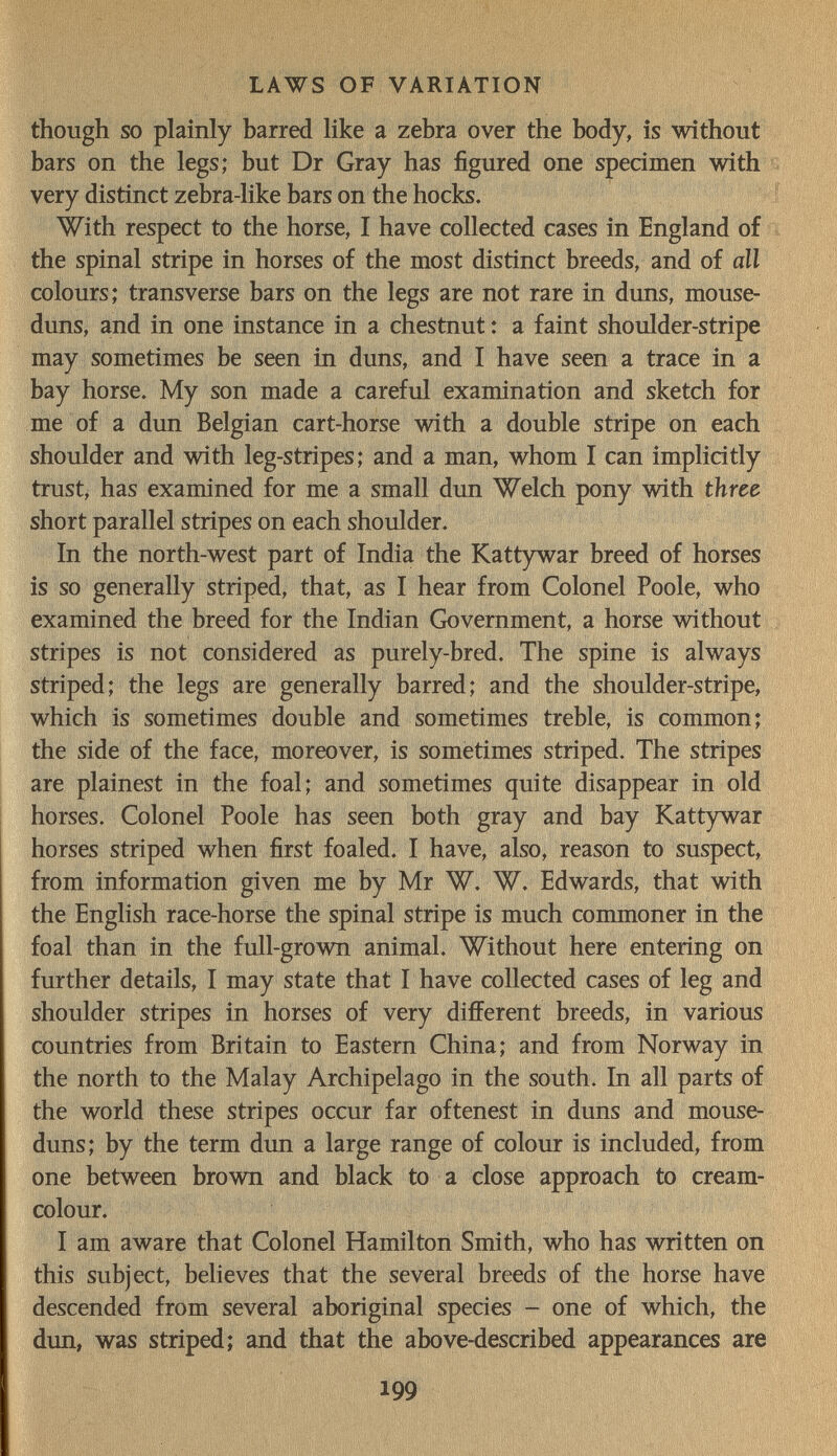 LAWS OF VARIATION though so plainly barred like a zebra over the body, is without bars on the legs; but Dr Gray has figured one specimen with very distinct zebra-like bars on the hocks. With respect to the horse, I have collected cases in England of the spinal stripe in horses of the most distinct breeds, and of all colours; transverse bars on the legs are not rare in duns, mouse- duns, and in one instance in a chestnut : a faint shoulder-stripe may sometimes be seen in duns, and I have seen a trace in a bay horse. My son made a careful examination and sketch for me of a dun Belgian cart-horse with a double stripe on each shoulder and with leg-stripes; and a man, whom I can implicitly trust, has examined for me a small dun Welch pony with three short parallel stripes on each shoulder. In the north-west part of India the Kattywar breed of horses is so generally striped, that, as I hear from Colonel Poole, who examined the breed for the Indian Giovemment, a horse without stripes is not considered as purely-bred. The spine is always striped; the legs are generally barred; and the shoulder-stripe, which is sometimes double and sometimes treble, is common; the side of the face, moreover, is sometimes striped. The stripes are plainest in the foal; and sometimes quite disappear in old horses. Colonel Poole has seen both gray and bay Kattywar horses striped when first foaled. I have, also, reason to suspect, from information given me by Mr W. W. Edwards, that with the English race-horse the spinal stripe is much commoner in the foal than in the full-grown animal. Without here entering on further details, I may state that I have collected cases of leg and shoulder stripes in horses of very different breeds, in various countries from Britain to Eastern China; and from Norway in the north to the Malay Archipelago in the south. In all parts of the world these stripes occur far oftenest in duns and mouse- duns; by the term dun a large range of colour is included, from one between brovra and black to a close approach to cream- colour. I am aware that Colonel Hamilton Smith, who has written on this subject, believes that the several breeds of the horse have descended from several aboriginal species - one of which, the dun, was striped; and that the above-described appearances are 199