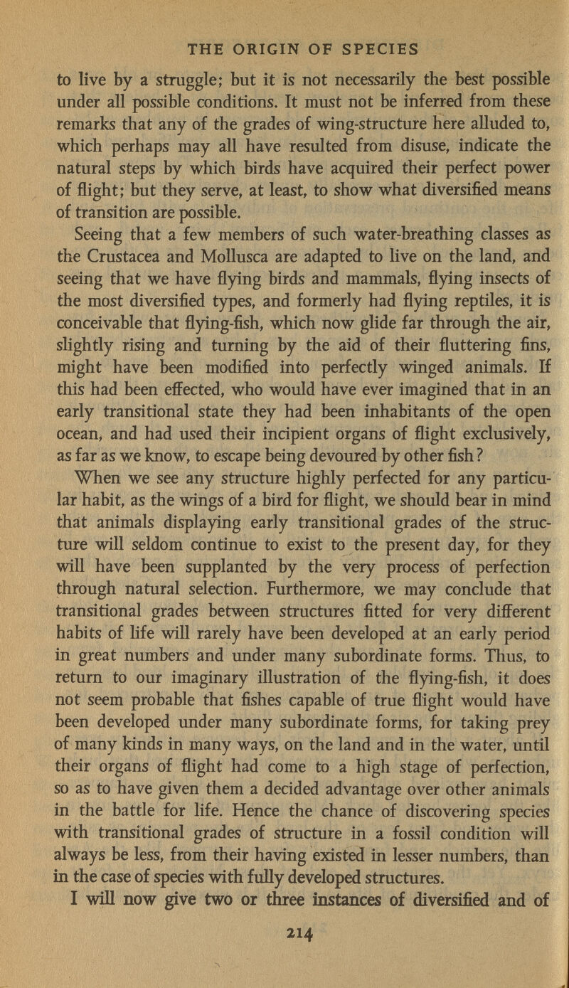 THE ORIGIN OF SPECIES to live by a struggle; but it is not necessarily the best possible under all possible conditions. It must not be inferred from these remarks that any of the grades of wing-structure here alluded to, which perhaps may all have resulted from disuse, indicate the natural steps by which birds have acquired their perfect power of flight; but they serve, at least, to show what diversified means of transition are possible. Seeing that a few members of such water-breathing classes as the Crustacea and Mollusca are adapted to live on the land, and seeing that we have flying birds and mammals, flying insects of the most diversified types, and formerly had flying reptiles, it is conceivable that fl)dng-fish, which now glide far through the air, slightly rising and turning by the aid of their fluttering fins, might have been modified into perfectly winged animals. If this had been effected, who would have ever imagined that in an early transitional state they had been inhabitants of the open ocean, and had used their incipient organs of flight exclusively, as far as we know, to escape being devoured by other fish ? When we see any structure highly perfected for any particu¬ lar habit, as the wings of a bird for flight, we should bear in mind that animals displaying early transitional grades of the struc¬ ture will seldom continue to exist to the present day, for they will have been supplanted by the very process of perfection through natural selection. Furthermore, we may conclude that transitional grades between structures fitted for very different habits of life will rarely have been developed at an early period in great numbers and under many subordinate forms. Thus, to return to our imaginary illustration of the flying-fish, it does not seem probable that fishes capable of true flight would have been developed under many subordinate forms, for taking prey of many kinds in many ways, on the land and in the water, until their organs of flight had come to a high stage of perfection, so as to have given them a decided advantage over other animals in the battle for life. Hence the chance of discovering species with transitional grades of structure in a fossil condition will always be less, from their having existed in lesser numbers, than in the case of species with fully developed structures. I will now give two or three instances of diversified and of 214