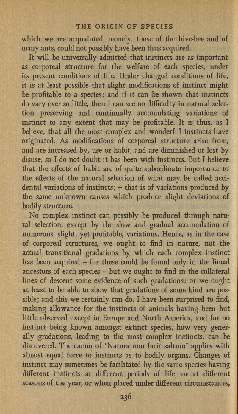 THE ORIGIN OF SPECIES which we are acquainted, namely, those of the hive-bee and of many ants, could not possibly have been thus acquired. It will be universally admitted that instincts are as important as corporeal structure for the welfare of each species, under its present conditions of life. Under changed conditions of life, it is at least possible that slight modifications of instinct might be profitable to a species; and if it can be shown that instincts do vary ever so little, then I can see no difficulty in natural selec¬ tion preserving and continually accumulating variations of instinct to any extent that may be profitable. It is thus, as I believe, that all the most complex and wonderful instincts have originated. As modifications of corporeal structure arise from, and are increased by, use or habit, and are diminished or lost by disuse, so I do not doubt it has been with instincts. But I believe that the effects of habit are of quite subordinate importance to the effects of the natural selection of what may be called acci¬ dental variations of instincts; - that is of variations produced by the same unknown causes which produce slight deviations of bodily structure. No complex instinct can possibly be produced through natu¬ ral selection, except by the slow and gradual accumulation of numerous, slight, yet profitable, variations. Hence, as in the case of corporeal structures, we ought to find in nature, not the actual transitional gradations by which each complex instinct has been acquired - for these coidd be found only in the lineal ancestors of each species - but we ought to find in the collateral lines of descent some evidence of such gradations; or we ought at least to be able to show that gradations of some kind are pos¬ sible; and this we certainly can do, I have been surprised to find, making allowance for the instincts of animals having been but little observed except in Europe and North America, and for no instinct being known amongst extinct species, how very gener¬ ally gradations, leading to the most complex instincts, can be discovered. The canon of 'Natura non facit saltum' applies with almost equal force to instincts as to bodily organs. Changes of instinct may sometimes be facilitated by the same species having different instincts at different periods of life, or at different seasons of the year, or when placed under different circumstances, 236