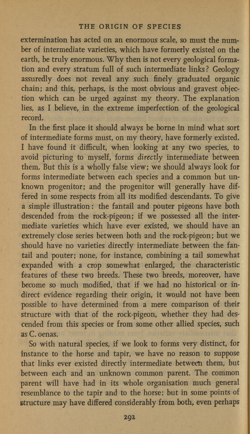 THE ORIGIN OF SPECIES extermination has acted on an enormous scale, so must the num¬ ber of intermediate varieties, which have formerly existed on the earth, be tndy enormous. Why then is not every geological forma¬ tion and every stratum full of such intermediate links? Geology assuredly does not reveal any such finely graduated organic chain; and this, perhaps, is the most obvious and gravest objec¬ tion which can be urged against my theory. The explanation lies, as I believe, in the extreme imperfection of the geological record. In the first place it should always be home in mind what sort of intermediate forms must, on my theory, have formerly existed. I have found it difficult, when looking at any two species, to avoid picturing to myself, forms directly intermediate between them. But this is a wholly false view; we should always look for forms intermediate between each species and a common but im- known progenitor; and the progenitor will generally have dif¬ fered in some respects from all its modified descendants. To give a simple illustration: the fantail and pouter pigeons have both descended from the rock-pigeon; if we possessed all the inter¬ mediate varieties which have ever existed, we should have an extremely close series between both and the rock-pigeon; but we should have no varieties directly intermediate between the fan- tail and pouter; none, for instance, combining a tail somewhat expanded with a crop somewhat enlarged, the characteristic features of these two breeds. These two breeds, moreover, have become so much modified, that if we had no historical or in¬ direct evidence regarding their origin, it would not have been possible to have determined from a mere comparison of their structure with that of the rock-pigeon, whether they had des¬ cended from this species or from some other allied species, such as C. oenas. So with natural species, if we look to forms very distinct, for instance to the horse and tapir, we have no reason to suppose that links ever existed directly intermediate between them, but between each and an unknown common parent. The common parent will have had in its whole organisation much general resemblance to the tapir and to the horse; but in some points of structure may have differed considerably from both, even perhaps 292