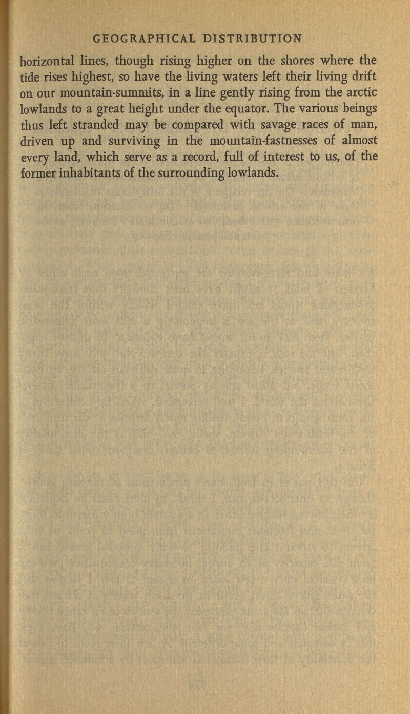 GEOGRAPHICAL DISTRIBUTION horizontal lines, though rising higher on the shores where the tide rises highest, so have the Hving waters left their Hving drift on our mountain-simnnits, in a line gently rising from the arctic lowlands to a great height imder the equator. The various beings thus left stranded may be compared with savage races of man, driven up and surviving in the moimtaih-fastnesses of almost every land, which serve as a record, fuH of interest to us, of the formier inhabitants of the surrounding lowlands. Ч / .» 'Ï ' h i , * / ' > I 1(1 I » Í , » í 'í í Í H'  1 ' ' 1 ' ' ä ,и ^ » ' 'íK t! ^ / I / «i î * ( ( Й ! t I' i ^ Í 'i i \  , Í ' bf •(, V ,,i ' Л'«!!.' tí ' ' ' ' ,íiíí ,Пм'1'1 ' 'ij, - ' /'I / Ú i S^v \ i ' Í M t t Í tv Vi / .Л^Ц-ф H'\ • •, г/ /''('',9fífí¡tb*áíí ■■•' ' ' ' Í ' l Í il N Í lili ' Ì. ■ »I • {i/T Р/ ;! I l I Í ^ , ii > 1 I Í ^ I , Mb К .чм ^ ; j. Hl' ( Ч ^ ' Л f ^ 1 \ I . Vi M V K' Í \ ' .1^.1 ^ 1 ' Í , ' Í, , f M > 'V ' • > , 'Vi .... ' , . ' u .> ,1 II r V ' 1 ' И ^ i , • * ,R ßf '1 . Y i' iV/ Д r ^ \ A J? /, îl î. ( ■''''ví.í« ... Í-Î I ' ГпЙ'.'Л ' ''fì'S'7 И)| W'ií , 'uWf' ''i 'Г'у'' I ' ~v Ч-' Ai^ 'vH ' î.4r'l:,'i'% '. 'i ' .fií'V , i > 1 .1. f )й »'fi ^ г ' V, i 'if ^ ; 1, 1 11, ' -, ,и 11' I ' ' í- ' I V I t \ fi.'' h V i» I' 1 l< ft [ ' f' I 'Ш' Si* '' ' H t ¡ tU, 'fi' '.'t f-n l.  f t 4 ' ri'í > ' ,г| f'i\s ;'';М!1'Ч1Г'- MmpëâiÊit V !:S-4í-'? i ÍS; «Â!kfifrV?î .'.u'j