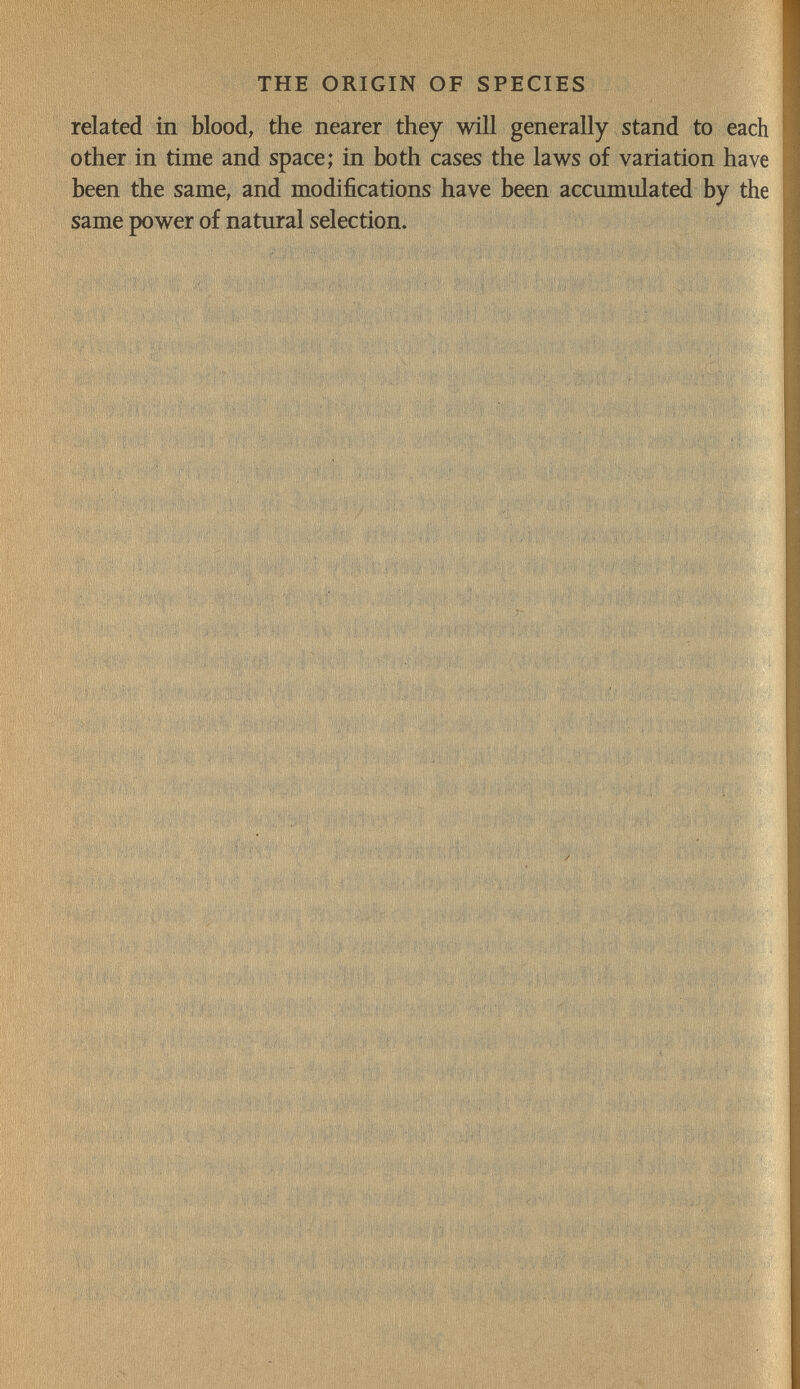 THE ORIGIN OF SPECIES related in blood, the nearer they will generally stand to each other in time and space; in both cases the laws of variation have been the same, and modifications have been accumulated by the same power of natural selection. < 1. r Ч ' 1 t ' if J ' ^ 'à I ' i I f J1 (I jîj J ^I ' 1 ' I ' • ';iv, ' f if, ' i Î, ^' ,'ь ^- f . i . 4'4. iM H\ -I ''Î . Ч ,v ' < I X ' , ti Í¡'«Í'Í'HÍ, i.íiv .vffiç'tf/1 !»i 'ff--', ' чГи'-' ' И ^ ' ,'Ь '^,|ííií>^í ;s'#í|!:|и ^í^í]fVN -iX ¡<í ¡'Í;'-; -/ Î J- is, n': 'ë Ъ''У ^ ;'i .fili/* 1 í'M ; -il'/M 1//.Í (í'PVy, Чр- 'l*''* .í' L'l^ ''rb'v; i'-iiv ü '' ' \ ' ' V ' ' ï'^ ì',t I ' , J Pbj-í > 1' , ^ ( fi ¡ КПИ'ц'IUì ' ' ' , 'ì í i ( -í-lü) ' ' , И Ai SI.' , Ь'^ t 'iUr \ ì I ' i f I i ?'iff.'fi( }u\ .fifjij Mi Ц 'ÌГя*^ i 'I,M 4Íu 'i I 'l. T r'' i ií''!'''' ' -i' íj' H'\f. Vii- .'>>\Aâs.Ï ?f'' '-.íi < ' >■'>• f NH,- ^ /аГ'И ^ r'« (, I V,,'.? 'iiMi? ' t' ! , ívV' í í 'i^,l i Г-' 'i' '^KnH'^'Ncí^ i]'! 'M '' - j ;>y,% ,; 'i 'М-Ъ'/ 'í/i'H ' . > 7 irci! Ъ ij li , r'.4'^íít-'íf< й(|' W ,'M. ' ,.1| \;( П < K'f, ^.í íMí