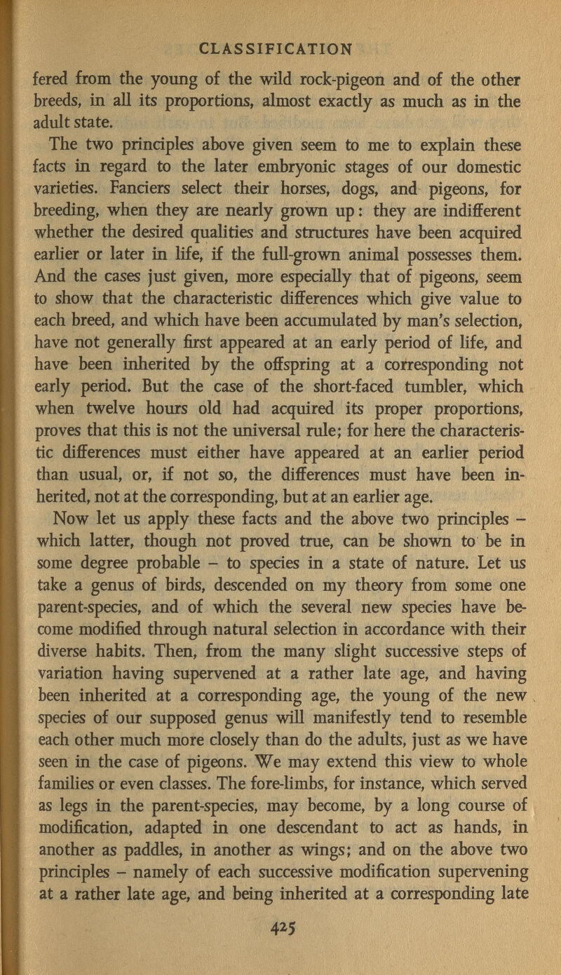 CLASSIFICATION fered from the young of the wild rock-pigeon and of the other breeds, in all its proportions, almost exactly as much as in the adult state. The two principles above given seem to me to explain these facts in regard to the later embryonic stages of our domestic varieties. Fanciers select their horses, dogs, and pigeons, for breeding, when they are nearly grown up : they are indifferent whether the desired qualities and structures have been acquired earher or later in life, if the full-grown animal possesses them. And the cases just given, more especially that of pigeons, seem to show that the characteristic differences which give value to each breed, and which have been accumulated by man's selection, have not generally first appeared at an early period of life, and have been inherited by the offspring at a corresponding not early period. But the case of the short-faced tumbler, which when twelve hours old had acquired its proper proportions, proves that this is not the universal rule; for here the characteris¬ tic differences must either have appeared at an earlier period than usual, or, if not so, the differences must have been in¬ herited, not at the corresponding, but at an earlier age. Now let us apply these facts and the above two principles - which latter, though not proved true, can be shown to be in some degree probable - to species in a state of nature. Let us take a genus of birds, descended on my theory from some one parent-species, and of which the several new species have be¬ come modified through natural selection in accordance with their diverse habits. Then, from the many slight successive steps of variation having supervened at a rather late age, and having been inherited at a corresponding age, the young of the new. species of our supposed genus will manifestly tend to resemble each other much more closely than do the adults, just as we have seen in the case of pigeons. We may extend this view to whole families or even classes. The fore-limbs, for instance, which served as legs in the parent-species, may become, by a long course of modification, adapted in one descendant to act as hands, in another as paddles, in another as wings; and on the above two principles - namely of each successive modification supervening at a rather late age, and being inherited at a corresponding late 425