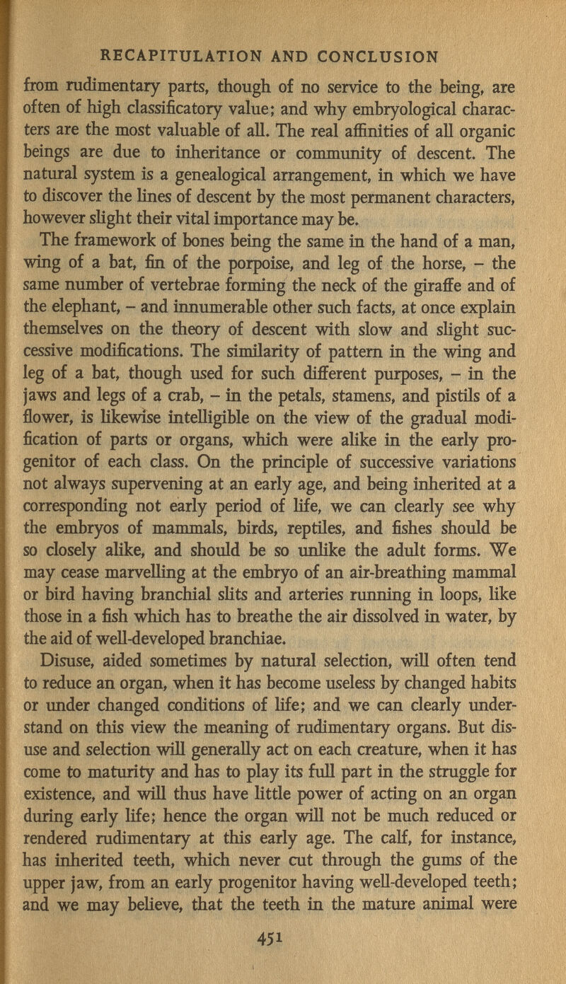 RECAPITULATION AND CONCLUSION from radimentary parts, though of no service to the being, are often of high classificatory value; and why embryological charac¬ ters are the most valuable of all. The real affinities of all organic beings are due to inheritance or community of descent. The natural system is a genealogical arrangement, in which we have to discover the lines of descent by the most permanent characters, however sHght their vital importance may be. The framework of bones being the same in the hand of a man, wing of a bat, fin of the porpoise, and leg of the horse, - the same number of vertebrae forming the neck of the giraffe and of the elephant, - and innumerable other such facts, at once explain themselves on the theory of descent with slow and sHght suc¬ cessive modifications. The similarity of pattern in the wing and leg of a bat, though used for such different purposes, - in the jaws and legs of a crab, - in the petals, stamens, and pistils of a flower, is Hkewise intelligible on the view of the gradual modi¬ fication of parts or organs, which were aUke in the early pro¬ genitor of each class. On the principle of successive variations not always supervening at an early age, and being inherited at a corresponding not early period of Hfe, we can clearly see why the embryos of mammals, birds, reptiles, and fishes should be so closely аНке, and should be so unlike the adult forms. We may cease marvelling at the embryo of an air-breathing mammal or bird having branchial sHts and arteries running in loops, like those in a fish which has to breathe the air dissolved in water, by the aid of weU-developed branchiae. Disuse, aided sometimes by natural selection, wiU often tend to reduce an organ, when it has become useless by changed habits or under changed conditions of life; and we can clearly under¬ stand on this view the meaning of rudimentary organs. But dis¬ use and selection will generally act on each creature, when it has come to maturity and has to play its full part in the struggle for existence, and WU thus have little power of acting on an organ during early Hfe; hence the organ will not be much reduced or rendered rudimentary at this early age. The calf, for instance, has inherited teeth, which never cut through the gums of the upper jaw, from an early progenitor having well-developed teeth; and we may believe, that the teeth in the mature animal were 451