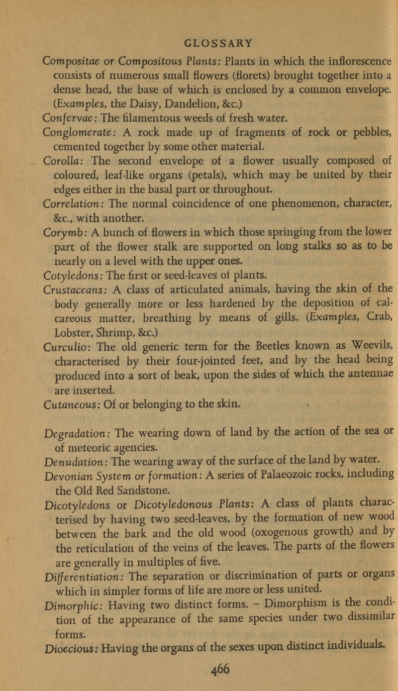 GLOSSARY Compositae or Compositous Plants: Plants in which the inflorescence consists of numerous small flowers (florets) brought together into a dense head, the base of which is enclosed by a common envelope. (Examples, the Daisy, Dandelion, &c.) Confervae : The filamentous weeds of fresh water. Conglomerate: A rock made up of fragments of rock or pebbles, cemented together by some other material. Corolla: The second envelope of a flower usually composed of coloured, leaf-hke organs (petals), which may be united by their edges either in the basal part or throughout. Correlation: The normal coincidence of one phenomenon, character, &c., with another. Corymb: A bunch of flowers in which those springing from the lower part of the flower stalk are supported on long stalks so as to be nearly on a level with the upper ones. Cotyledons: The first or seed-leaves of plants. Crustaceans: A class of articulated animals, having the skin of the body generally more or less hardened by the deposition of cal¬ careous matter, breathing by means of gills. (Examples, Crab, Lobster, Shrimp, &c.) Cur culto: The old generic term for the Beetles known as Weevils, characterised by their four-jointed feet, and by the head being produced into a sort of beak, upon the sides of which the antennae are inserted. Cutaneous: Of or belonging to the skin. Degradation: The wearing down of land by the action of the sea or of meteoric agencies. Denudation: The wearing away of the surface of the land by water. Devonian System or formation: A series of Palaeozoic rocks, including the Old Red Sandstone. Dicotyledons or Dicotyledonous Plants: A class of plants charac¬ terised by having two seed-leaves, by the formation of new wood between the bark and the old wood (oxogenous growth) and by the reticulation of the veins of the leaves. The parts of the flowers are generally in multiples of five. Differentiation: The separation or discrimination of parts or organs which in simpler forms of hfe are more or less united. Dimorphic: Having two distinct forms. - Dimorphism is the condi¬ tion of the appearance of the same species under two dissimilar forms. Dioecious: Having the organs of the sexes upon distinct individuals. 466