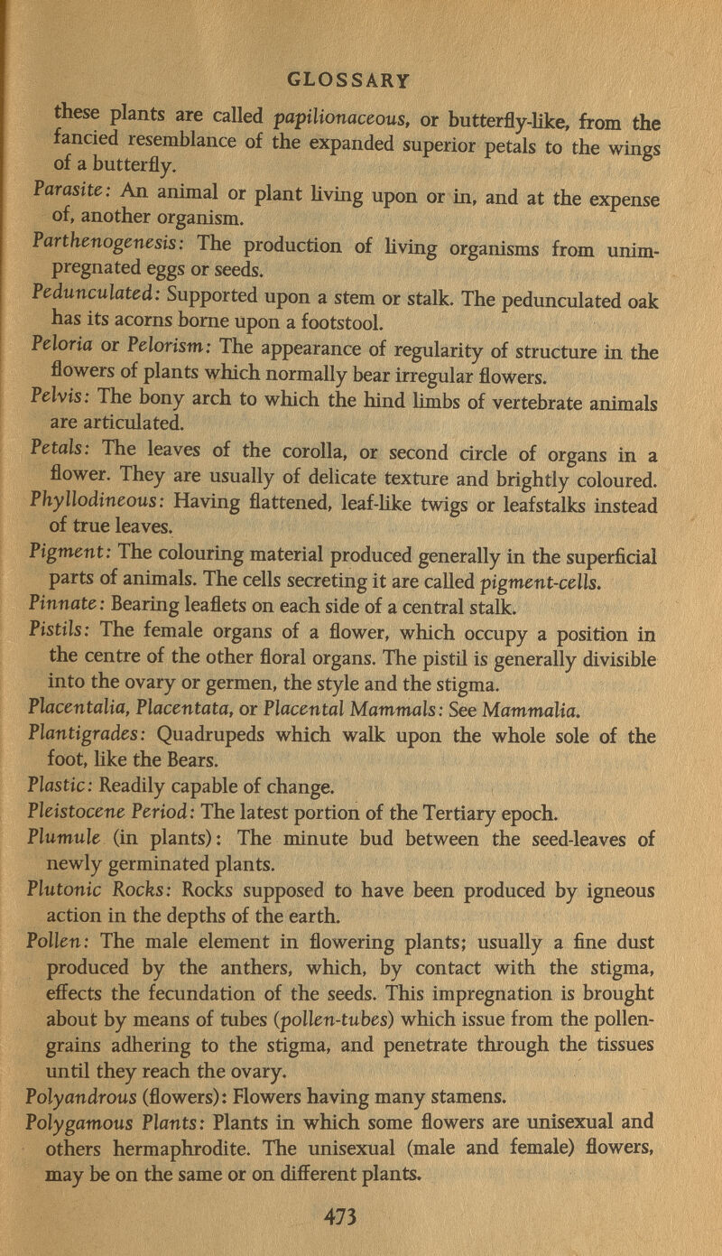 GLOSSARY these plants are called papilionaceous, or butterfly-like, from the fancied resemblance of the expanded superior petals to the wings of a butterfly. Parasite: v^n animal or plant Kving upon or in, and at the expense of, another organism. Parthenogenesis: The production of Hving organisms from unim- pregnated eggs or seeds. Pedunculated: Supported upon a stem or stalk. The pedunculated oak has its acorns borne upon a footstool. Peloria or Pelorism: The appearance of regularity of structure in the flowers of plants which normally bear irregular flowers. Pelvis: The bony arch to which the hind limbs of vertebrate animals are articulated. Petals: The leaves of the corolla, or second circle of organs in a flower. They are usually of delicate texture and brightly coloured. Phyllodineous: Having flattened, leaf-like twigs or leafstalks instead of true leaves. Pigment: The colouring material produced generally in the superficial parts of animals. The cells secreting it are called pigment-cells. Pinnate: Bearing leaflets on each side of a central stalk. Pistils: The female organs of a flower, which occupy a position in the centre of the other floral organs. The pistil is generally divisible into the ovary or germen, the style and the stigma. Placentalia, Placentata, or Placental Mammals: See Mammalia. Plantigrades: Quadrupeds which walk upon the whole sole of the foot, like the Bears. Plastic: Readily capable of change. Pleistocene Period: The latest portion of the Tertiary epoch. Plumule (in plants) : The minute bud between the seed-leaves of newly germinated plants. Plutonic Rocks: Rocks supposed to have been produced by igneous action in the depths of the earth. Pollen: The male element in flowering plants; usually a fine dust produced by the anthers, which, by contact with the stigma, effects the fecundation of the seeds. This impregnation is brought about by means of tubes (pollen-tubes) which issue from the pollen- grains adhering to the stigma, and penetrate through the tissues until they reach the ovary. Polyandrous (flowers): Flowers having many stamens. Polygamous Plants: Plants in which some flowers are unisexual and others hermaphrodite. The unisexual (male and female) flowers, may be on the same or on different plants. 473