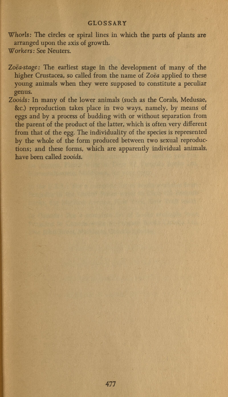 GLOSSARY Whorls: The circles or spiral lines in which the parts of plants are arranged upon the axis of growth. Workers: See Neuters. Zoca-stage: The earliest stage in the development of many of the higher Crustacea, so called from the name of Zoca applied to these young animals when they were supposed to constitute a peculiar genus. Zooids: In many of the lower animals (such as the Corals, Medusae, &c.) reproduction takes place in two ways, namely, by means of eggs and by a process of budding with or without separation from the parent of the product of the latter, which is often very different from that of the egg. The individuality of the species is represented by the whole of the form produced between two sexual reproduc¬ tions; and these forms, which are apparently individual animals, have been called zooids. H 1Ш 477