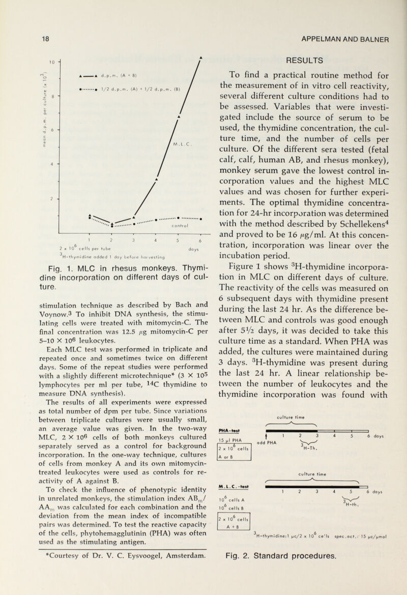18 APPELMAN AND BALNER 10 A ■ IA d.p.m. (A + B) • • 1/2 d.p.m. (A) + 1/2 d.p.m. (B) 4 - 2 - t control 12 3 4 2x10 cells per tube 3 H-thymidine added 1 day before liotvesMng do V Fig. 1. MLC in rhesus monkeys. Thymi¬ dine incorporation on different days of cul¬ ture. stimulation technique as described by Bach and Voynow.3 To inhibit DNA synthesis, the stimu¬ lating cells were treated with mitomycin-C. The final concentration was 12.5 /ig mitomycin-C per 5-10 X 106 leukocytes. Each MLC test was performed in triplicate and repeated once and sometimes twice on different days. Some of the repeat studies were performed with a slightly different microtechnique* (3 X 10^ lymphocytes per ml per tube, I'^C thymidine to measure DNA synthesis). The results of all experiments were expressed as total number of dpm per tube. Since variations between triplicate cultures were usually small, an average value was given. In the two-way MLC, 2 X 106 cells of both monkeys cultured separately served as a control for background incorporation. In the one-way technique, cultures of cells from monkey A and its own mitomycin- treated leukocytes were used as controls for re¬ activity of A against B. To check the influence of phenotypic identity in unrelated monkeys, the stimulation index AB,,,/ AA,„ was calculated for each combination and the deviation from the mean index of incompatible pairs was determined. To test the reactive capacity of the cells, phytohemagglutinin (PHA) was often used as the stimulating antigen. RESULTS To find a practical routine method for the measurement of in vitro cell reactivity, several different culture conditions had to be assessed. Variables that were investi¬ gated include the source of serum to be used, the thymidine concentration, the cul¬ ture time, and the number of cells per culture. Of the different sera tested (fetal calf, calf, human AB, and rhesus monkey), monkey serum gave the lowest control in¬ corporation values and the highest MLC values and was chosen for further experi¬ ments. The optimal thymidine concentra¬ tion for 24-hr incorporation was determined with the method described by Schellekens^ and proved to be 16 /xg/ml. At this concen¬ tration, incorporation was linear over the incubation period. Figure 1 shows ^H-thymidine incorpora¬ tion in MLC on different days of culture. The reactivity of the cells was measured on 6 subsequent days with thymidine present during the last 24 hr. As the difference be¬ tween MLC and controls was good enough after 5V2 days, it was decided to take this culture time as a standard. When PHA was added, the cultures were maintained during 3 days. ®H-thymidine was present during the last 24 hr. A linear relationship be¬ tween the number of leukocytes and the thymidine incorporation was found with culture time PHA-test 15 ul PHA I 1 2 3 4 5 ó days 2x10 cells A or В add PHA H-Th. culfure time M.L.C, -test 10 eel Is A 10' cells В 1 2 3 4 5 6 days 3, 2x10 cells A + В H-th. 3 6 H-thymidine: 1 |jc/2 x 10 ce'ls spec.act.: 15 pc/pmol ^Courtesy of Dr. V. C. Eysvoogel, Amsterdam. Fig. 2. Standard procedures.