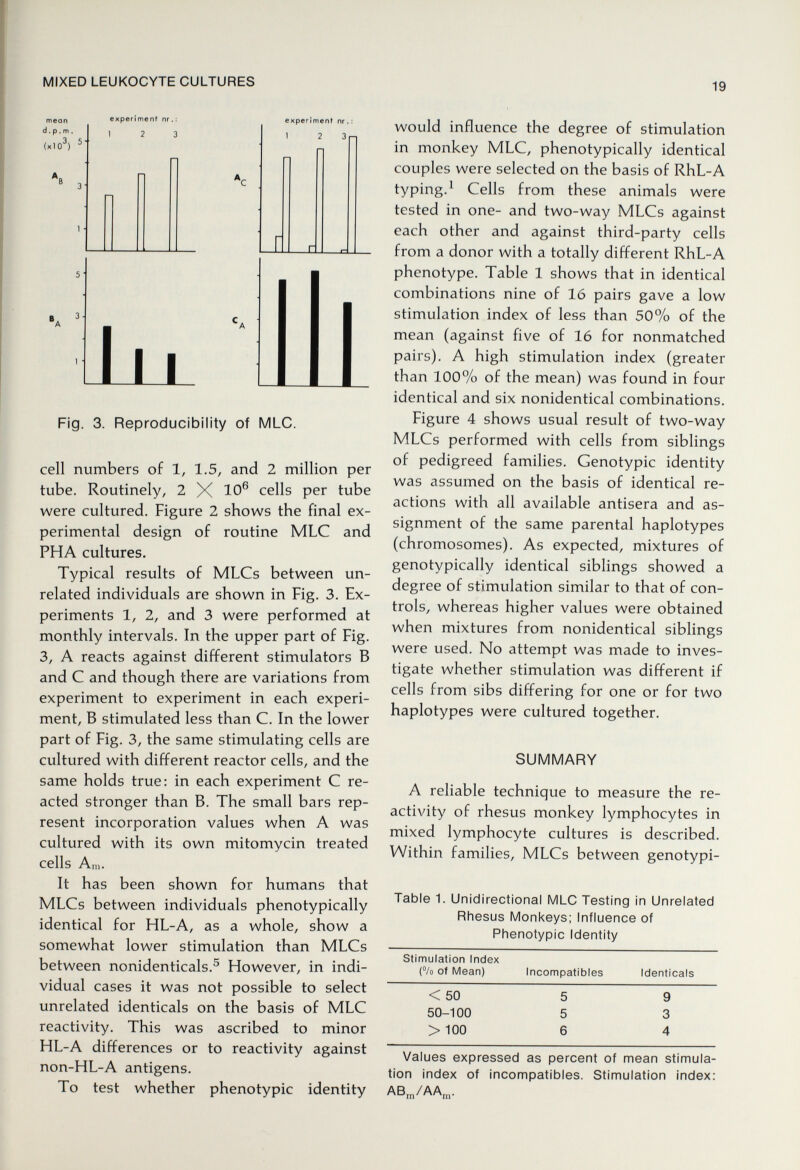 MIXED LEUKOCYTE CULTURES 19 mean d. p. m . (xlO^ experimenf nr. ; 1 2 3 experiment nr, I 2 3 h 1 Fig. 3. Reproducibility of MLC. cell numbers of 1, 1.5, and 2 million per tube. Routinely, 2 X Ю® cells per tube were cultured. Figure 2 shows the final ex¬ perimental design of routine MLC and PHA cultures. Typical results of MLCs between un¬ related individuals are shown in Fig. 3. Ex¬ periments 1, 2, and 3 were performed at monthly intervals. In the upper part of Fig. 3, A reacts against different stimulators В and С and though there are variations from experiment to experiment in each experi¬ ment, В stimulated less than C. In the lower part of Fig. 3, the same stimulating cells are cultured with different reactor cells, and the same holds true: in each experiment С re¬ acted stronger than B. The small bars rep¬ resent incorporation values when A was cultured with its own mitomycin treated cells Am. It has been shown for humans that MLCs between individuals phenotypically identical for HL-A, as a whole, show a somewhat lower stimulation than MLCs between nonidenticals.^ However, in indi¬ vidual cases it was not possible to select unrelated identicals on the basis of MLC reactivity. This was ascribed to minor HL-A differences or to reactivity against non-HL-A antigens. To test whether phenotypic identity would influence the degree of stimulation in monkey MLC, phenotypically identical couples were selected on the basis of RhL-A typing.^ Cells from these animals were tested in one- and two-way MLCs against each other and against third-party cells from a donor with a totally different RhL-A phenotype. Table 1 shows that in identical combinations nine of 16 pairs gave a low stimulation index of less than 50% of the mean (against five of 16 for nonmatched pairs). A high stimulation index (greater than 100% of the mean) was found in four identical and six nonidentical combinations. Figure 4 shows usual result of two-way MLCs performed with cells from siblings of pedigreed families. Genotypic identity was assumed on the basis of identical re¬ actions with all available antisera and as¬ signment of the same parental haplotypes (chromosomes). As expected, mixtures of genotypically identical siblings showed a degree of stimulation similar to that of con¬ trols, whereas higher values were obtained when mixtures from nonidentical siblings were used. No attempt was made to inves¬ tigate whether stimulation was different if cells from sibs differing for one or for two haplotypes were cultured together. SUMMARY A reliable technique to measure the re¬ activity of rhesus monkey lymphocytes in mixed lymphocyte cultures is described. Within families, MLCs between genotypi- Table 1. Unidirectional MLC Testing in Unrelated Rhesus Monkeys; Influence of Phenotypic Identity Values expressed as percent of mean stimula¬ tion index of incompatibles. Stimulation index: AB,„/AA„..