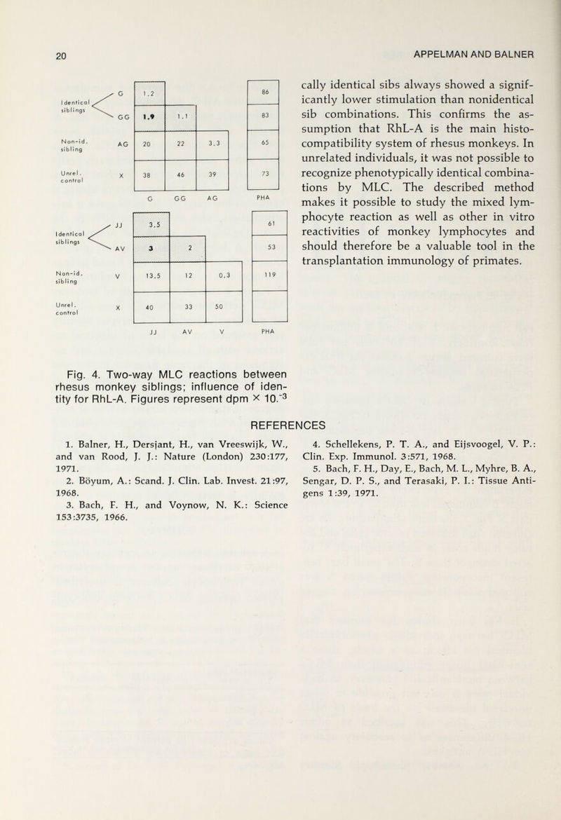 20 APPELMAN AND BALNER 86 83 65 73 PHA 61 53 119 cally identical sibs always showed a signif¬ icantly lower stimulation than nonidentical sib combinations. This confirms the as¬ sumption that RhL-A is the main histo¬ compatibility system of rhesus monkeys. In unrelated individuals, it was not possible to recognize phenotypically identical combina¬ tions by MLC. The described method makes it possible to study the mixed lym¬ phocyte reaction as well as other in vitro reactivities of monkey lymphocytes and should therefore be a valuable tool in the transplantation immunology of primates. JJ AV PHA Fig. 4. Two-way MLC reactions between rhesus monkey siblings; influence of iden¬ tity for RhL-A. Figures represent dpm x 10.^ REFERENCES 1. Balner, H., Dersjant, H., van Vreeswijk, W., and van Rood, J. J.: Nature (London) 230:177, 1971. 2. Böyum, Д.: Scand. J. Clin. Lab. Invest. 21:97, 1968. 3. Bach, F. H., and Voynow, N. K.: Science 153:3735, 1966. 4. Schellekens, P. T. A., and Eijsvoogel, V. P.: Clin. Exp. Immunol. 3:571, 1968. 5. Bach, F. H., Day, E., Bach, M. L., Myhre, B. A., Sengar, D. P. S., and Terasaki, P. I.: Tissue Anti¬ gens 1:39, 1971.