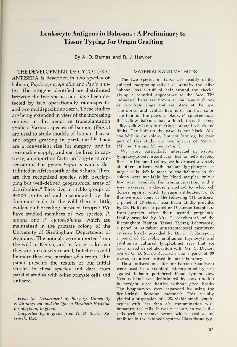 Leukocyte Antigens in Baboons : A Preliminary to Tissue Typing for Organ Grafting By A. D. Barnes and R. J. Hawker THE DEVELOPMENT OF CYTOTOXIC ANTISERA is described in two species of baboon, Papio cynocephalus and Papio anu- bis. The antigens identified are distributed between the two species and have been de¬ tected by two operationally monospecific and two multispecific antisera. These studies are being extended in view of the increasing interest in this genus in transplantation studies. Various species of baboon (Papio) are used to study models of human disease and organ grafting in particular.^'^ They are a convenient size for surgery, and in reasonable supply, and can be bred in cap¬ tivity, an important factor in long-term con¬ servation. The genus Papio is widely dis¬ tributed in Africa south of the Sahara. There are five recognized species with overlap¬ ping but well-defined geographical areas of distribution.^ They live in stable groups of 8-200 protected and inseminated by the dominant male. In the wild there is little evidence of breeding between troops.'^ We have studied members of two species, P. anubis and P. cynocephalus, which are maintained in the primate colony of the University of Birmingham Department of Anatomy. The animals were imported from the wild in Kenya, and as far as is known they are not closely related, but there could be more than one member of a troop. This paper presents the results of our initial studies in these species and data from parallel studies with other primate cells and antisera. From the Department of Surgery, University of Birmingham, and the Queen Elizabeth Hospital, Birmingham, England. Supported by a grant from G. D. Searle Re¬ search, U.K. MATERIALS AND METHODS The two species of Papio are readily distin¬ guished morphologically.3 P. anubis, the olive baboon, has a ruff of hair around the cheeks, giving a rounded appearance to the face. The individual hairs are brown at the base with one or two light rings and are black at the tips. The dorsal and ventral hair is of uniform color. The hair on the paws is black. P. cynocephalus, the yellow baboon, has a black face. Its long, silky, yellow hairs form fringes along its back and limbs. The hair on the paws is not black. Also available in the colony, but not forming the main part of this study, are two species of Macaca (M. mulatta and M. nemestrina). We were particularly interested in baboon lymphocytotoxic isoantisera, but to help develop these in the small colony we have used a variety of other antisera with baboon lymphocytes as target cells. While most of the baboons in the colony were available for blood samples, only a few were available for isoimmunization, and it was necessary to devise a method to select cell donors against which to raise antibodies. To do this we used some of the following 151 antisera; a panel of 43 rhesus isoantisera kindly provided by Dr. H. Balner; a panel of 28 human isoantisera from women after their second pregnancy, kindly provided by Mrs. P. Mackintosh of the Birmingham Human Tissue Typing Laboratory; a panel of 30 rabbit antistreptococcal membrane antisera kindly provided by Dr. F. T. Rapaport; a panel of 11 rabbit antihuman thymocyte and antihuman cultured lymphoblast sera that we have raised in collaboration with Mr. C. Dicker- son of G. D. Searle Research; and a panel of 39 rhesus isoantisera raised in our laboratory. These antisera and later our baboon isoantisera were used in a standard microcytotoxicity test against baboon peripheral blood lymphocytes. Venous blood was defibrinated by slow rotation in straight glass bottles without glass beads. The lymphocytes were separated by using the ficoll-triosil flotation method.5 This usually yielded a suspension of 95% viable small lymph¬ ocytes with less than 3% contamination with immature red cells. It was necessary to wash the cells well to remove serum which acted as an inhibitor in the cytotoxic system. Glass tissue typ- 37