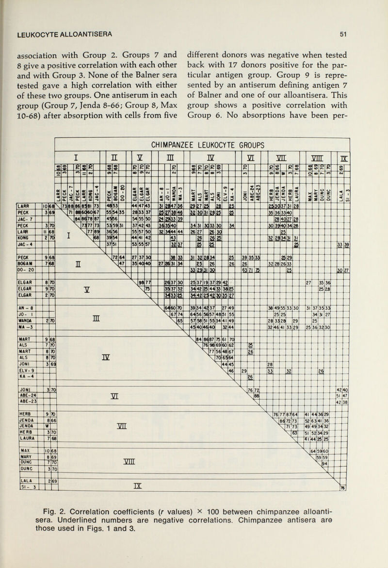 LEUKOCYTE ALLOANTISERA 51 association with Group 2. Groups 7 and 8 give a positive correlation with each other and with Group 3. None of the Balner sera tested gave a high correlation with either of these two groups. One antiserum in each group (Group 7, Jenda 8-66; Group 8, Max 10-68) after absorption with cells from five different donors was negative when tested back with 17 donors positive for the par¬ ticular antigen group. Group 9 is repre¬ sented by an antiserum defining antigen 7 of Balner and one of our alloantisera. This group shows a positive correlation with Group 6. No absorptions have been per- Fig. 2. Correlation coefficients (r values) x 100 between chimpanzee alloanti¬ sera. Underlined numbers are negative correlations. Chimpanzee antisera are those used in Figs. 1 and 3.