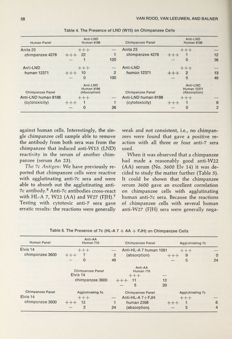 58 VAN ROOD, VAN LEEUWEN, AND BALNER Table 4. The Presence of LND (W15) on Chimpanzee Cells Human Panel Anti-LND Human 8188 Chimpanzee Panel Anti-LND Human 8188 Anita 23 chimpanzee 4278 Anti-LND human 12371 Chimpanzee Panel Anti-LND human 8188 (cytoloxicity) +++ — +++ 22 1 - 1 120 +++ — +++ 10 2 - 0 100 Anti-LND Human 8188 (Absorption) + + + — + + + 1 1 - 0 26 Anita 23 chimpanzee 4278 Anti-LND human 12371 Chimpanzee Panel Anti-LND human 8188 (cytotoxicity) +++ — +++ 1 12 - 0 36 +++ — +++ 2 13 - 0 46 Anti-LND Human 12371 (Absorption) + + + — + + + 1 6 - 0 2 against human cells. Interestingly, the sin¬ gle chimpanzee cell sample able to remove the antibody from both sera was from the chimpanzee that induced anti-Wl5 (LND) reactivity in the serum of another chim¬ panzee (serum An 23). The 7c Antigen: We have previously re¬ ported that chimpanzee cells were reactive with agglutinating anti-7c sera and were able to absorb out the agglutinating anti- 7c antibody.® Anti-7c antibodies cross-react with HL-A 7, W22 (AA) and W27 (FJH).'^ Testing with cytotoxic anti-7 sera gave erratic results: the reactions were generally weak and not consistent, i.e., no chimpan¬ zees were found that gave a positive re¬ action with all three or four anti-7 sera used. When it was observed that a chimpanzee had made a reasonably good anti-W22 (AA) serum (No. 3600 Elv 14) it was de¬ cided to study the matter further (Table 5). It could be shown that the chimpanzee serum 3600 gave an excellent correlation on chimpanzee cells with agglutinating human anti-7c sera. Because the reactions of chimpanzee cells with several human anti-W27 (FJH) sera were generally nega- Table 5. The Presence of 7c (HL-A 7 -j- AA + FJH) on Chimpanzee Cells
