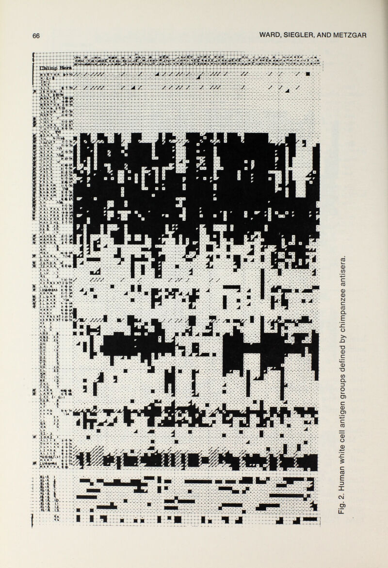 66 WARD, SIEGLER, AND METZGAR CO <D CO ■Ч—' С CO 0 о N С со о. E sz о T3 di с Ч— CD ■o CO Q. ZJ о u. O) с CD O) Ч—' с CO 0) о CD С CO E 3 X CN D)