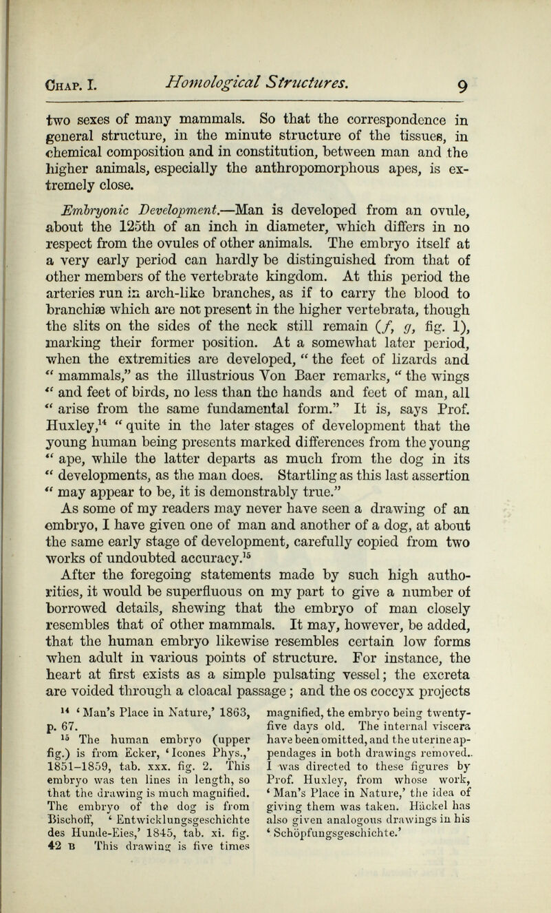 Chap. I. Homological Structures. 9 two sexes of many mammals. So that tbe correspondence in general structure, in the minute structure of the tissues, in chemical composition and in constitution, between man and the higher animals, especially the anthropomorphous apes, is ex¬ tremely close. Embryonic Development.—Man is developed from an ovule, about the 125th of an inch in diameter, which differs in no respect from the ovules of other animals. The embryo itself at a very early period can hardly be distinguished from that of other members of the vertebrate kingdom. At this period the arteries run in arch-like branches, as if to carry the blood to branchi® which are not present in the higher vertebrata, though the slits on the sides of the neck still remain (/, g, fig. 1), marking their former position. At a somewhat later period, when the extremities are developed,  the feet of lizards and  mammals, as the illustrious Von Baer remarks,  the wings *' and feet of birds, no less than the hands and feet of man, all  arise from the same fundamental form. It is, says Prof. Huxley,  quite in the later stages of development that the young human being presents marked differences from the young ape, while the latter departs as much from the dog in its  developments, as the man does. Startling as this last assertion *' may appear to be, it is demonstrably true. As some of my readers may never have seen a drawing of an embryo, I have given one of man and another of a dog, at about the same early stage of development, carefully copied from two works of undoubted accuracy.'® After the foregoing statements made by such high autho¬ rities, it would be superfluous on my part to give a number of borrowed details, shewing that the embryo of man closely resembles that of other mammals. It may, however, be added, that the human embryo likewise resembles certain low forms when adult in various points of structure. For instance, the heart at first exists as a simple pulsating vessel; the excreta are voided through a cloacal passage ; and the os coccyx projects ^ Maa's Place in Nature,' 1863, magnified, the embryo being twenty- p. 67. five days old. The internal A'iscera The human embryo (upper havebeenomitted, and the uterine ap- fig.) is from Ecker, ' Icones Phys.,' pendages in both drawings removed.. 1851-1859, tab. xxx. fig. 2. This I was directed to these figures by embryo was ten lines in length, so Prof. Huxley, from whose work, that the drawing is much magnified. ' Man's Place in Nature,' tlie idea of The embryo of the dog is from giving them was taken. Hackel has Bischotf, ' Entwicklungsgeschichte also given analogous drawings in his des Hunde-Eies,' 1845, tab. xi. fig. ' Schöpfungsgeschichte.' 42 в This drawiasr is five times