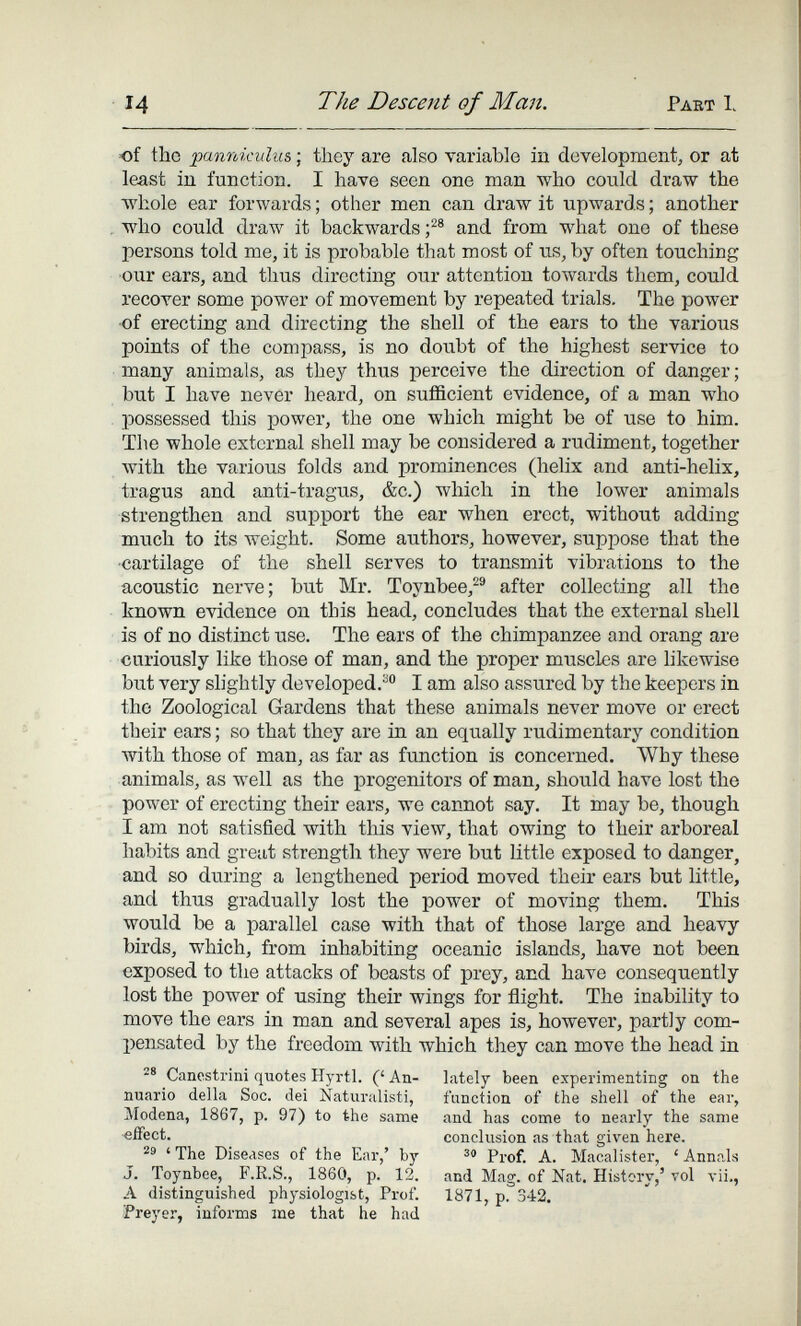 14 The Descent of Man. Pakt 1. of tho panniculiis ; they are also variable in development^ or at least iu fuDctioD. I have seen one man who conld draw the whole ear forwards ; other men can draw it upwards ; another . who could draw it backwards and from what one of these persons told me, it is probable that most of us, by often touching our ears, and thus directing our attention towards them, could recover some power of movement by repeated trials. The power ■of erecting and directing the shell of the ears to the various points of the compass, is no doubt of the highest service to many animals, as they thus perceive the direction of danger ; but I have never heard, on sufficient evidence, of a man who possessed this power, the one which might be of use to him. The whole external shell may be considered a rudiment, together Avith the various folds and prominences (helix and anti-helix, tragus and anti-tragus, &c.) which in the lower animals strengthen and support the ear when erect, without adding much to its weight. Some authors, however, suppose that the ■cartilage of the shell serves to transmit vibrations to the acoustic nerve; but Mr. Toynbee,^® after collecting all the known evidence on this head, concludes that the external shell is of no distinct use. The ears of the chimpanzee and orang are curiously like those of man, and the proper muscles are likewise but very shghtly developed.^® I am also assured by the keepers in the Zoological Gardens that these animals never move or erect their ears ; so that they are in an equally rudimentary condition with those of man, as far as function is concerned. Why these animals, as well as the progenitors of man, should have lost the power of erecting their ears, we cannot say. It may be, though I am not satisfied with this view, that owing to their arboreal habits and great strength they were but little exposed to danger, and so during a lengthened period moved their ears but little, and thus gradually lost the power of moving them. This would be a parallel case with that of those large and heavy birds, which, from inhabiting oceanic islands, have not been exposed to the attacks of beasts of prey, and have consequently lost the power of using their wings for flight. The inability to move the ears in man and several apes is, however, partly com¬ pensated by the freedom with which they can move the head in Canestrini quotes Hyrtl. (' An- lately been experimenting on the nuario della Soc. dei Naturalisti, function of the shell of the ear, Modena, 1867, p. 97) to the same and has come to nearly the same -effect. conclusion as that given here. 29 'The Diseases of the Ear,' by Macalister, 'Annals J. Toynbee, F.R.S., 1860, p. 12. and Mag. of Nat. History,' vol vii., A distinguished physiologist, Prof. 1871, p. 342. Pi'eyer, informs me that he had