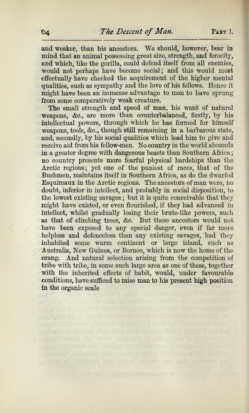 The Descent of Man. Рллт I. and weaker, than his ancestors. We should, however, bear in mind that an animal possessing great size, strength, and ferocity, and which, like the gorilla, could defend itself from all enemies, would not perhaps have become social; and this would most effectually have checked the acquirement of the higher mental qualities, such as sympathy and the love of his fellows. Hence it might have been an immense advantage to man to have sprung from some comparatively weak creature. The small strength and speed of man, his want of natural weapons, &c., are more than counterbalanced, firstly, by his intellectual powers, through which he has formed for himself weapons, tools, &c., though still remaining in a barbarous state, and, secondly, by his social qualities which lead him to give and receive aid from his fellow-men. No country in the world abounds in a greater degree with dangerous beasts than Southern Africa ; no country presents more fearful physical hardships than the Arctic regions; yet one of the puniest of races, that of the Bushmen, maintains itself in Southern Africa, as do the dwarfed Esquimaux in the Arctic regions. The ancestors of man were, no doubt, inferior in intellect, and probably in social disposition, to the lowest existing savages ; but it is quite conceivable that they might have existed, or even flourished, if they had advanced iu intellect, whilst gradually losing their brute-like powers, such as that of climbing trees, &c. But these ancestors would not have been exposed to any special danger, even if far more helpless and defenceless than any existing savages, had they inhabited some warm continent or large island, such as Australia, New Guinea, or Borneo, which is now the home of the orang. And natural selection arising from the competition of tribe with tribe, in some such large area as one of these, together with the inherited effects of habit, would, under favourable conditions, have sufficed to raise man to his present high position in the organic scale