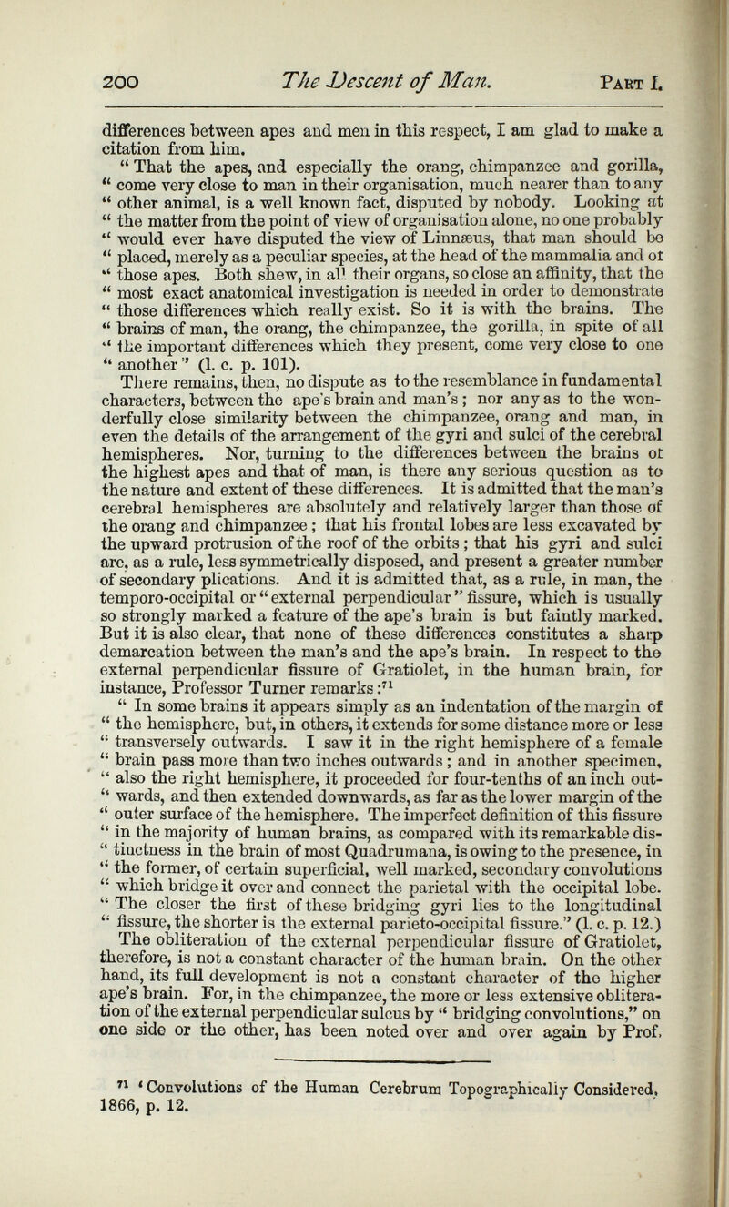 200 The Descent of Man. Part f. diflFerences between apes and men in this respect, I am glad to make a citation from liim.  That the apes, and especially the orang, chimpanzee and gorilla,  come very close to man in their organisation, much nearer than to any  other animal, is a well known fact, disputed by nobody. Looking at  the matter from the point of view of organisation alone, no one probably  would ever have disputed the view of Linnaeus, that man should be  placed, merely as a peculiar species, at the head of the mammalia and ot '' those apes. Both shew, in al' their organs, so close an affinity, that the  most exact anatomical investigation is needed in order to demonstrate  those differences which really exist. So it is with the brains. The  brains of man, the orang, the chimpanzee, the gorilla, in spite of all '41ie important differences which they present, come very close to one  another  (1. c. p. 101). Tliere remains, then, no dispute as to the resemblance in fundamental characters, between the ape's brain and man's ; nor any as to the won¬ derfully close similarity between the chimpanzee, orang and man, in even the details of the arrangement of the gyri and sulci of the cerebral hemispheres. Nor, turning to the differences between the brains ot the highest apes and that of man, is there any serious question as to the nature and extent of these differences. It is admitted that the man's cerebral hemispheres are absolutely and relatively larger than those of the orang and chimpanzee ; that his frontal lobes are less excavated by the upward protrusion of the roof of the orbits ; that his gyri and sulci are, as a rule, less symmetrically disposed, and present a greater number of secondary plications. And it is admitted that, as a rule, in man, the temporo-occipital or external perpendicular fissure, which is usually so strongly marked a feature of the ape's brain is but faintly marked. But it is also clear, that none of these differences constitutes a shairp demarcation between the man's and the ape's brain. In respect to the external perpendicular fissure of Gratiolet, in the human brain, for instance. Professor Turner remarks  In some brains it appears simply as an indentation of the margin of  the hemisphere, but, in others, it extends for some distance more or less  transversely outwards. I saw it in the right hemisphere of a female  brain pass more than two inches outwards ; and in another specimen,  also the right hemisphere, it proceeded for four-tenths of an inch out- '' wards, and then extended downwards, as far as the lower margin of the  outer surface of the hemisphere. The imperfect definition of this fissure  in the majority of human brains, as compared with its remarkable dis-  tinctness in the brain of most Quadrumana, is owing to the presence, in  the former, of certain superficial, well marked, secondary convolutions  which bridge it over and connect the parietal with the occipital lobe.  The closer the first of these bridging gyri lies to the longitudinal  fissure, the shorter is the external parieto-occipital fissure. (1. c. p. 12.) The obliteration of the external perpendicular fissTure of Gratiolet, therefore, is not a constant character of the human brain. On the other hand, its full development is not a constant character of the higher ape's brain. For, in the chimpanzee, the more or less extensive oblitera¬ tion of the external perpendicular sulcus by  bridging convolutions, on one side or the other, has been noted over and over again by Prof. ^ Convolutions of the Human Cerebrum Topographically Considered, 1866, p. 12.