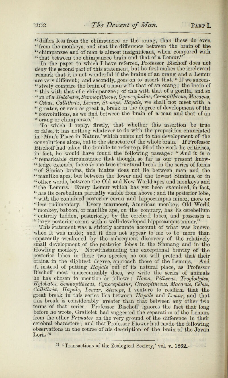 202 The Descent of Man. Part L  dlifjrs less from the chimpauzee or the orang, than these do even  from the monkeys, and cnat the difference between the brain of the  chimpanzee and of man is almost insignificant, when compared with  that between the chimpanzee brain and that of a Lemur. In the paper to which I have referred, Professor Bischoif does not deny the second part of this statement, but he first makes the irrelevant remark that it is not wonderful if the brains of an orang and a Lemur are very different ; and secondly, goes on to assert that,  If we succes-  sively compare the brain of a man with that of an orang ; the brain of  this with that of a chimpanzee ; of this with that of a gorilla, and so  on of a Hyldbates, Semnopithecus, Cynooephalus, Cercopithecus, Macacus, '' Cebus, Callithrix, Lemur, Stenops, Ilapale, we shall not meet with a  greater, or even as great a, break in the degree of development of the  convolutions, as we find between the brain of a man and that of an  orang or chimpanzee. To Avhich I reply, firstly, that whether this assertion be true or false, it has nothing whatever to do Avith the proposition enunciated in 'Man's Place in Nature,' which refers not to the development of the convoluticms alone, but to the structure of the whole brain. If Professor Bischoff had taken the trouble to refer to p. 96 of the work he criticises, in fact, he would have found the following passage ;  And it is a  remarkable circumstance that though, so far as our present know-  ledge extends, there is one true structural break in the series of forms  of Simian brains, this hiatus does not lie between man and the  manlike apes, but between the lower and the lowest Simians, or in other words, between the Old and New World apes and monkeys and  the Lemurs. Every Lemur which has yet been examined, in fact,  has its cerebellum partially visible from above ; and its posterior lobe,  with the contained posterior cornu and hippocampus minor, more or less rudimentary. Every marmoset, American monkey, Old World  monkey, baboon, or manlike ape, on the contrary, has its cerebellum  entirely hidden, posteriorly, by the cerebral lobes, and possesses a  large posterior cornu with a well-developed hippocampus minor. This statement was a strictly accurate account of what was known when it was made; and it does not appear to me to be more than apparently weakened by the subsequent discovery of the relatively small development of the posterior lobes in the Siamang and in the Howling monkey. Notwithstanding the exceptional brevity of the ()osterior lobes in these two species, no one will pretend that their brains, in the slightest degree, approach those of the Lemurs. And if, instead of putting Rapale out of its natural place, as Professor Bischoff most unaccountably does, we write the series of animals lie has chosen to mention as Ibllows : Homo, Pitliecus, Troglodytes, Hylobates, Semnopithecus, Cynoceplialus, Cercopithecus, Macacus, Cebus, Callithrix, Ilapale, Lemur, Stenops, I venture to reaffirm that the great break in this series lies between Hapale and Lemur, and that this break is considerably greater than tliat between any other two terms of that series. Professor Bischoff ignores the fact that long before he wrote, Gratiolet had suggested the separation of the Lemurs from the other Primates on the very ground of the difference in their cerebral characters ; and that Professor Flower had made the following observations in the course of his description of the brain of the Javan Loris ' Transactions of the Zoological Society,' vol. v. 1862.