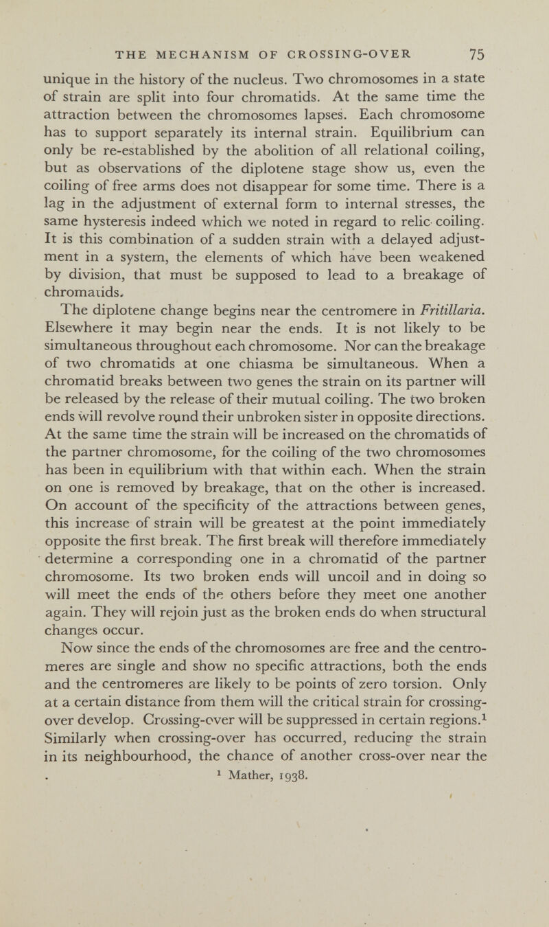 THE MECHANISM OF CROSSING-OVER 75 unique in the history of the nucleus. Two chromosomes in a state of strain are split into four chromatids. At the same time the attraction between the chromosomes lapses. Each chromosome has to support separately its internal strain. Equilibrium can only be re-established by the abolition of all relational coiling, but as observations of the diplotene stage show us, even the coiling of free arms does not disappear for some time. There is a lag in the adjustment of external form to internal stresses, the same hysteresis indeed which we noted in regard to relic coiling. It is this combination of a sudden strain with a delayed adjust¬ ment in a system, the elements of which have been weakened by division, that must be supposed to lead to a breakage of chromatids. The diplotene change begins near the centromere in Fritillaria. Elsewhere it may begin near the ends. It is not likely to be simultaneous throughout each chromosome. Nor can the breakage of two chromatids at one chiasma be simultaneous. When a chromatid breaks between two genes the strain on its partner will be released by the release of their mutual coiling. The two broken ends will revolve round their unbroken sister in opposite directions. At the same time the strain will be increased on the chromatids of the partner chromosome, for the coiling of the two chromosomes has been in equilibrium with that within each. When the strain on one is removed by breakage, that on the other is increased. On account of the specificity of the attractions between genes, this increase of strain will be greatest at the point immediately opposite the first break. The first break will therefore immediately determine a corresponding one in a chromatid of the partner chromosome. Its two broken ends will uncoil and in doing so will meet the ends of the others before they meet one another again. They will rejoin just as the broken ends do when structural changes occur. Now since the ends of the chromosomes are free and the centro¬ meres are single and show no specific attractions, both the ends and the centromeres are likely to be points of zero torsion. Only at a certain distance from them will the critical strain for crossing- over develop. Crossing-over will be suppressed in certain regions.^ Similarly when crossing-over has occurred, reducing the strain in its neighbourhood, the chance of another cross-over near the 1 Mather, 1938. I