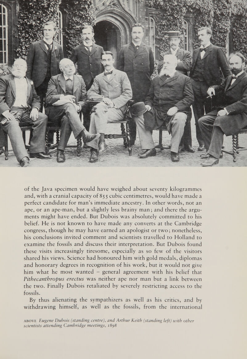 of the Java specimen would have weighed about seventy kilogrammes and, with a cranial capacity of 855 cubic centimetres, would have made a perfect candidate for man's immediate ancestry. In other words, not an ape, or an ape-man, but a slightly less brainy man; and there the argu¬ ments might have ended. But Dubois was absolutely committed to his belief. He is not known to have made any converts at the Cambridge congress, though he may have earned an apologist or two; nonetheless, his conclusions invited comment and scientists travelled to Holland to examine the fossils and discuss their interpretation. But Dubois found these visits increasingly tiresome, especially as so few of the visitors shared his views. Science had honoured him with gold medals, diplomas and honorary degrees in recognition of his work, but it would not give him what he most wanted - general agreement with his belief that Pithecanthropus erectus was neither ape nor man but a link between the two. Finally Dubois retaliated by severely restricting access to the fossils. By thus alienating the sympathizers as well as his critics, and by withdrawing himself, as well as the fossils, from the international ABOVE Eugene Dubois {standing centre), and Arthur Keith (standing left) with other scientists attending Cambridge meetings, 1898